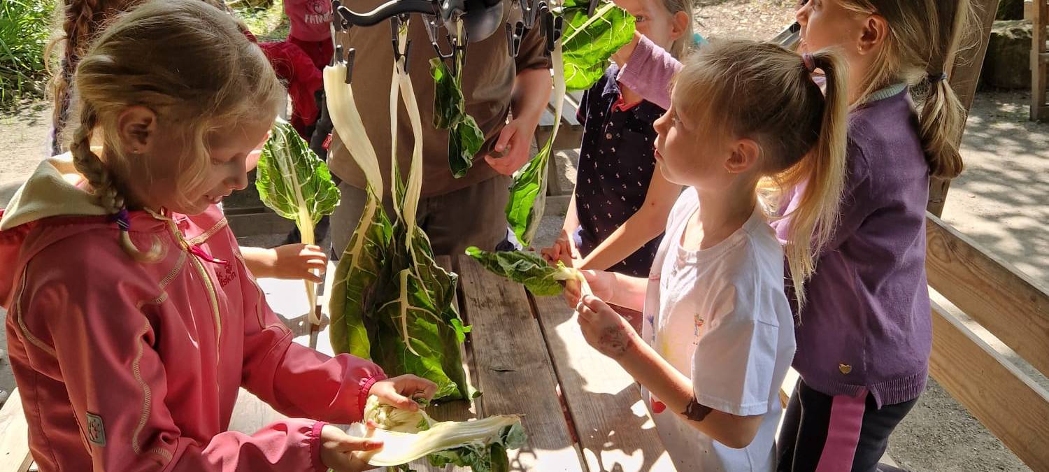 Mini-Tierpfleger im Tierpark Hamm