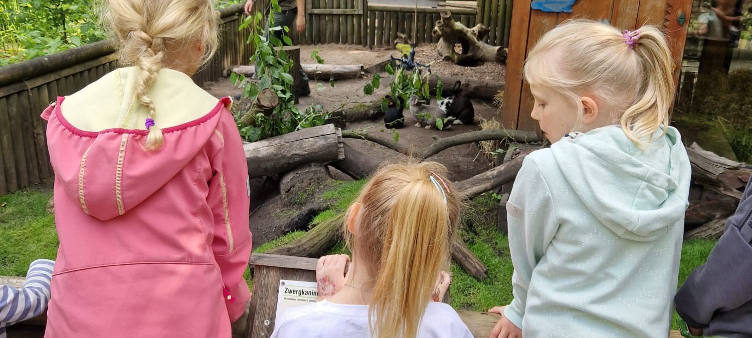 Mini-Tierpfleger im Tierpark Hamm
