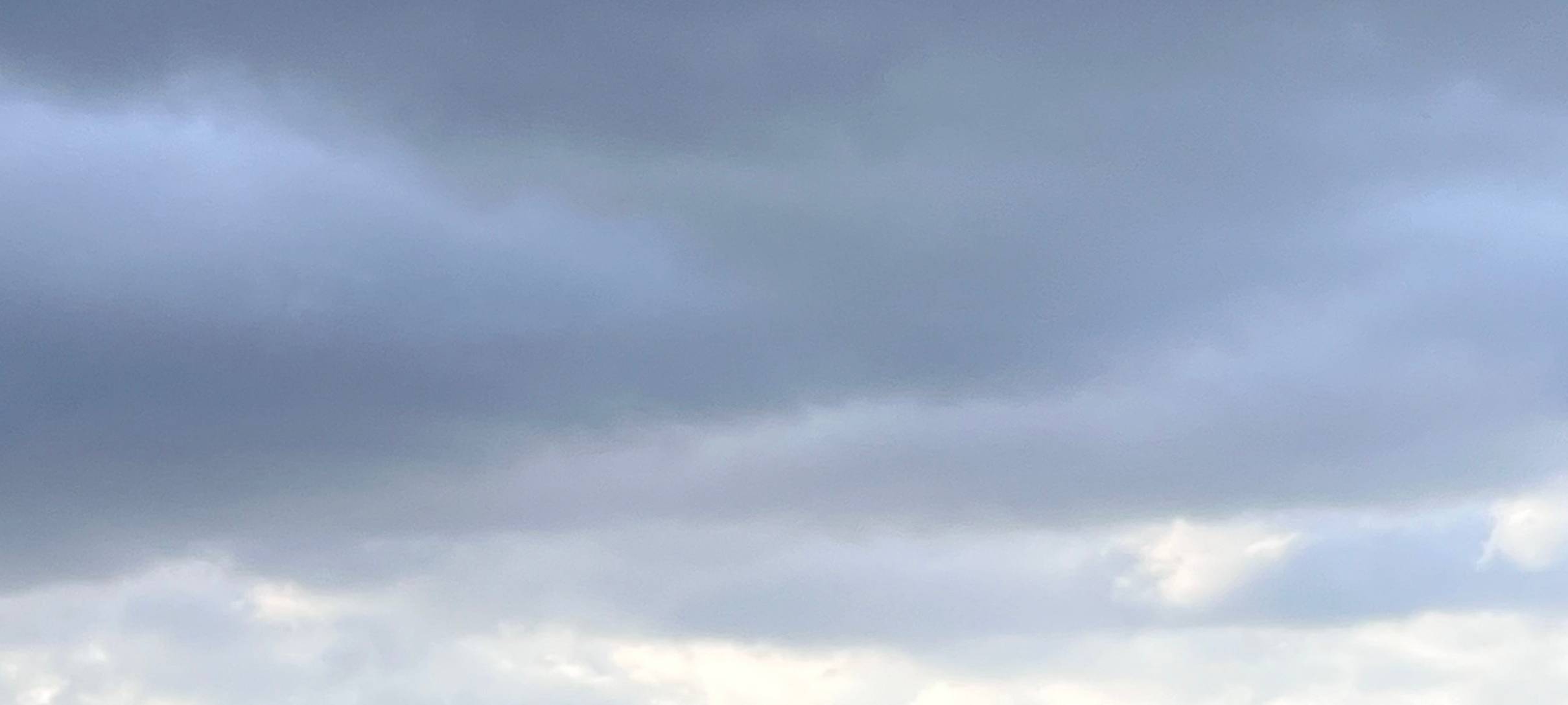 Landwirte in Hamm sorgen sich um Weizen