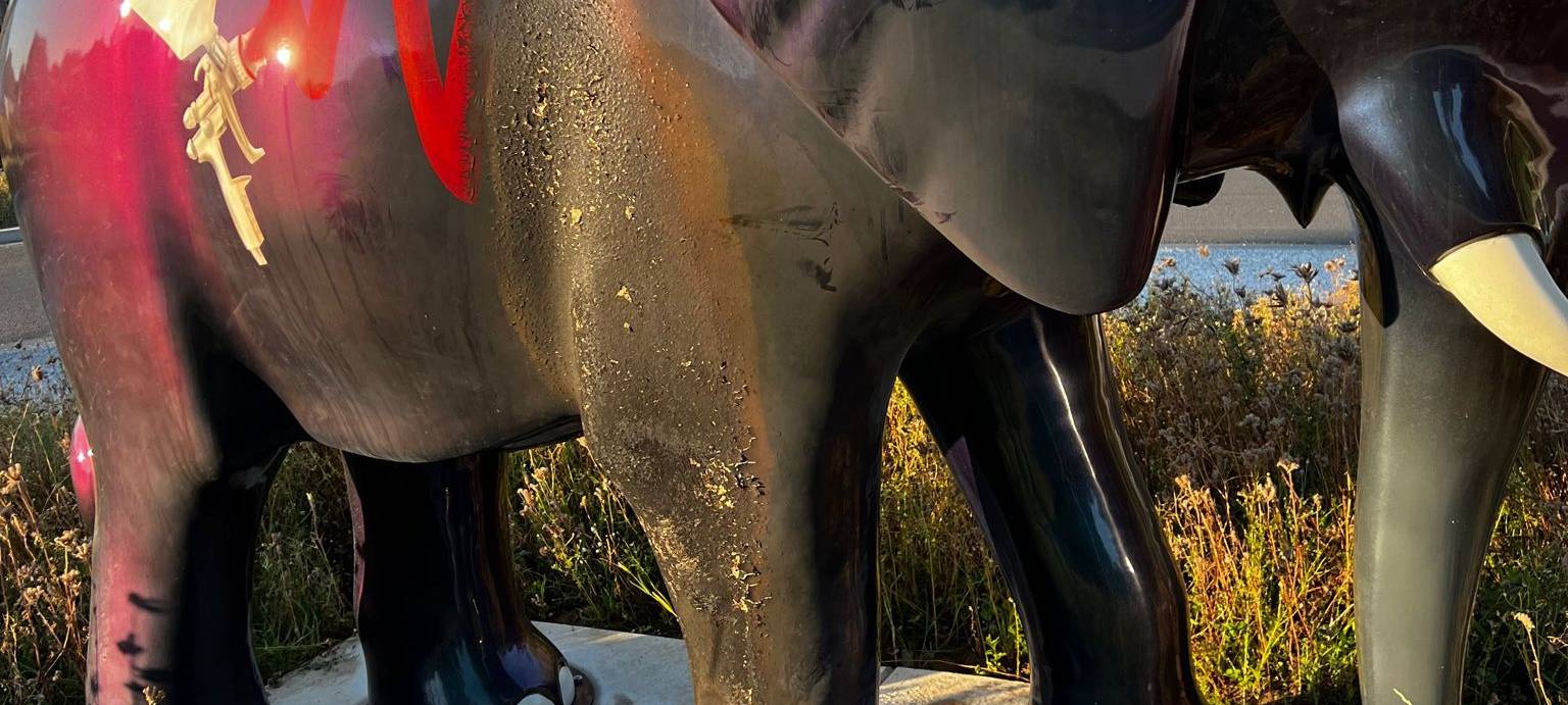 Elefant in Hamm-Lohauserholz beschädigt