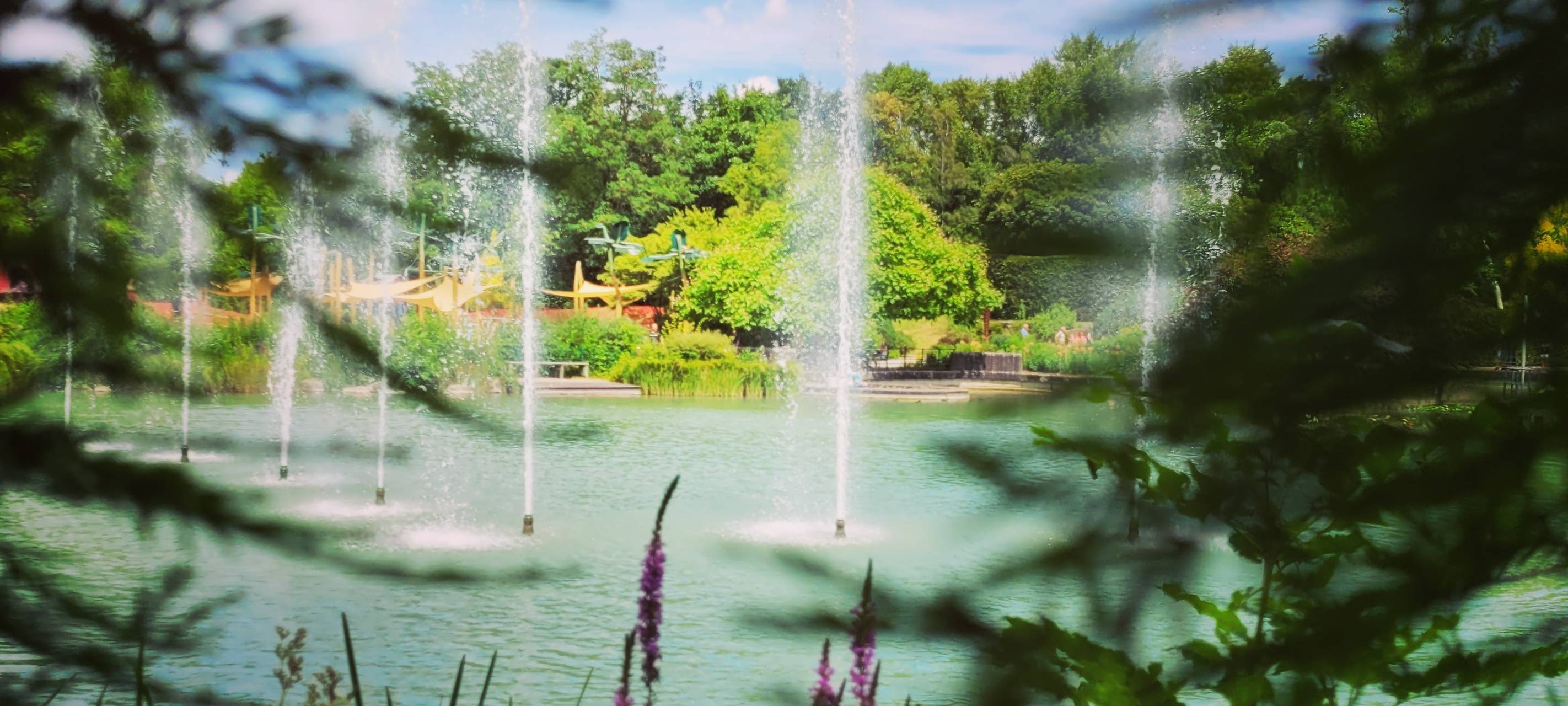 #soschönisthamm im Jahr 2023 - die schönsten Fotos