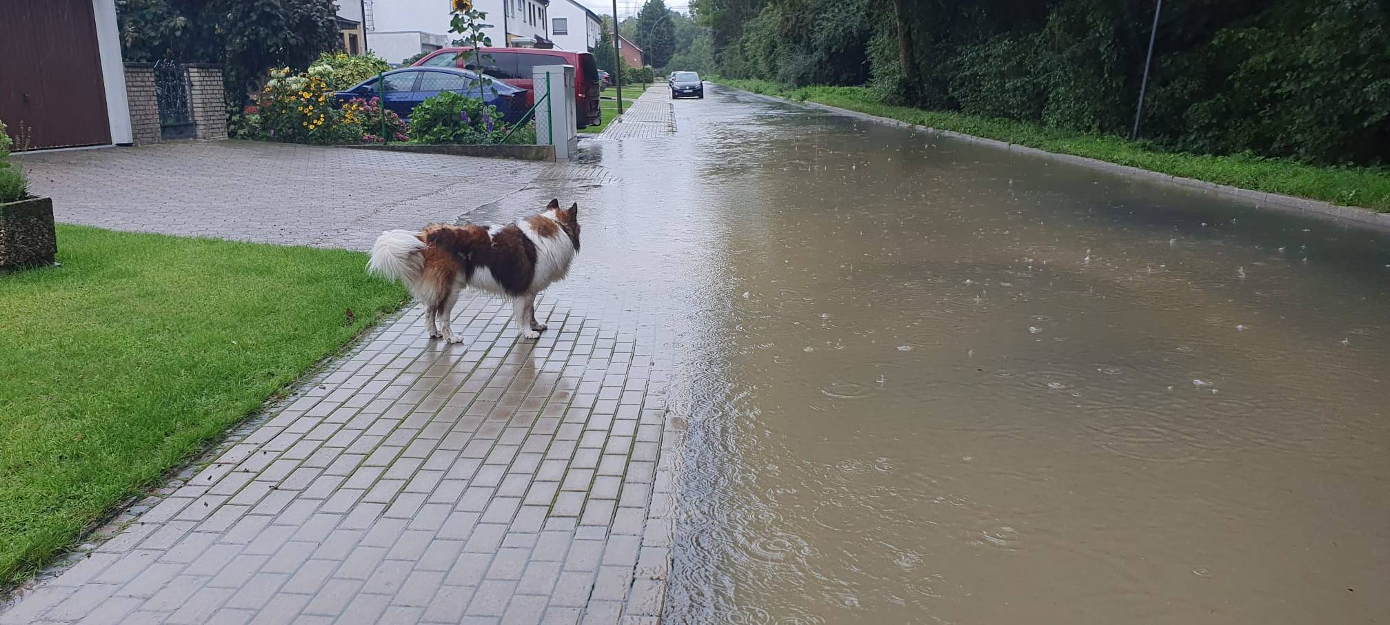 Unwetter in Hamm sorgt für überflutete Straßen