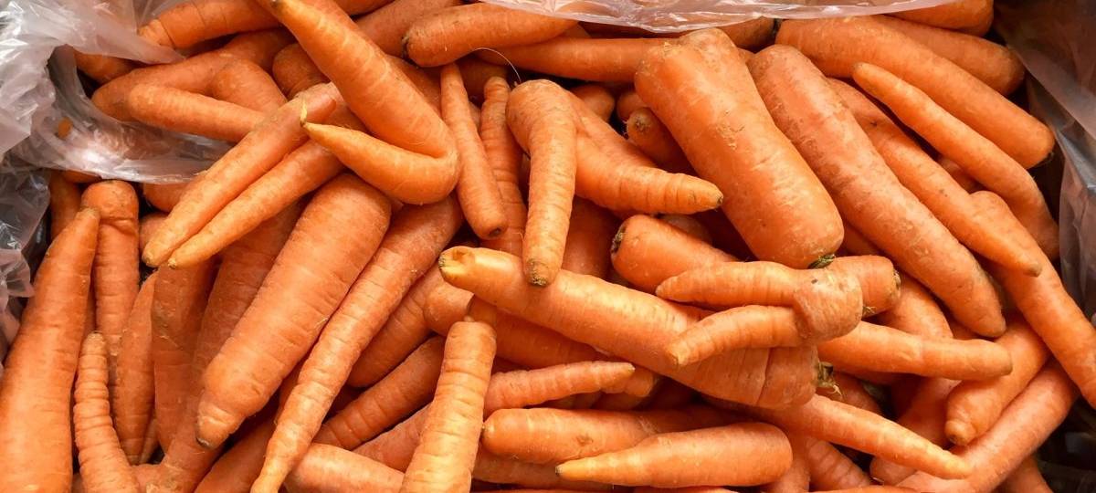 Veranstaltungen für BioWochen NRW in Hamm