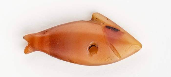 Viel los im Gustav-Lübcke-Museum in Hamm