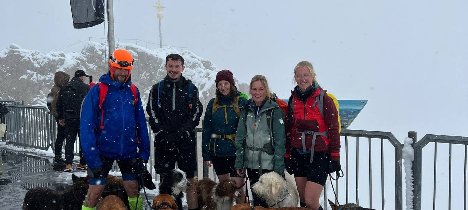 Hunde aus Hamm drehen Gassirunde auf der Zugspitze
