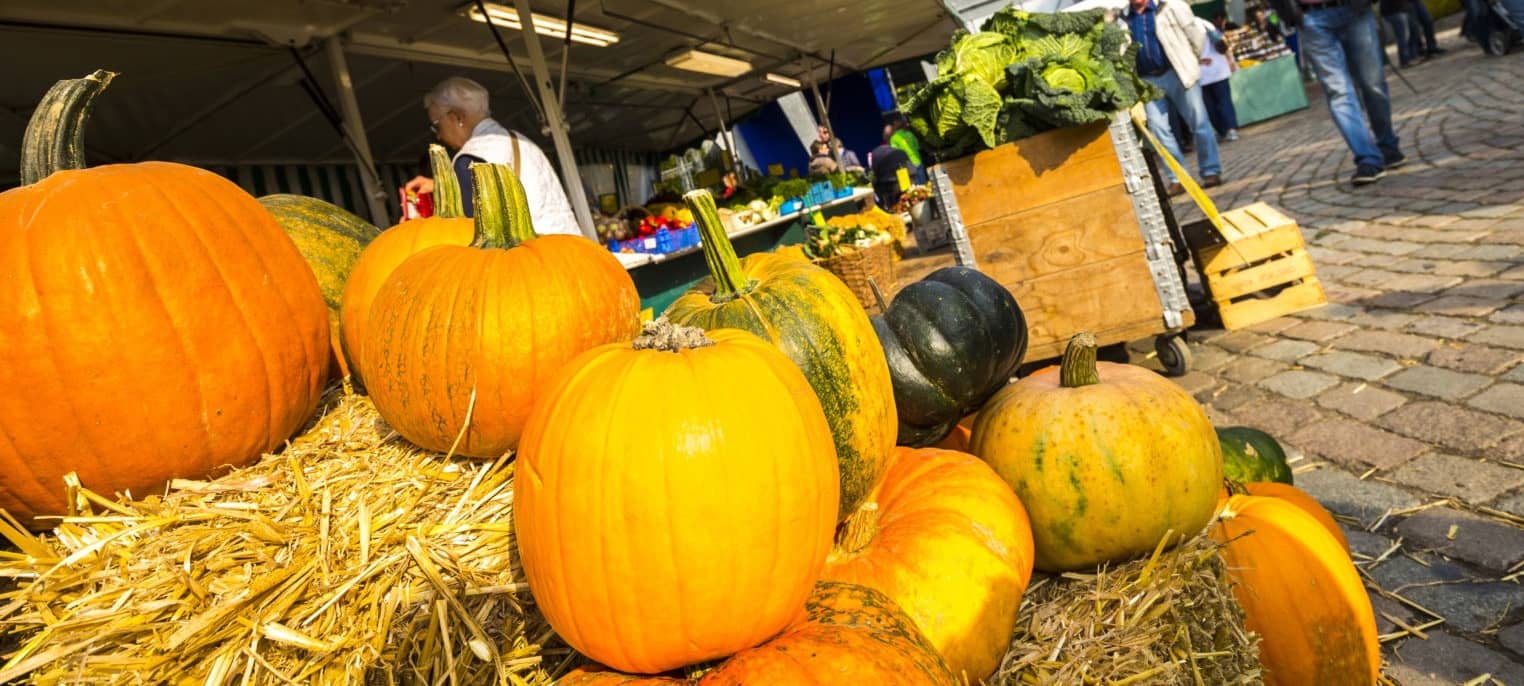 Maxipark lädt zum Herbstmarkt „Land und Leute“ ein