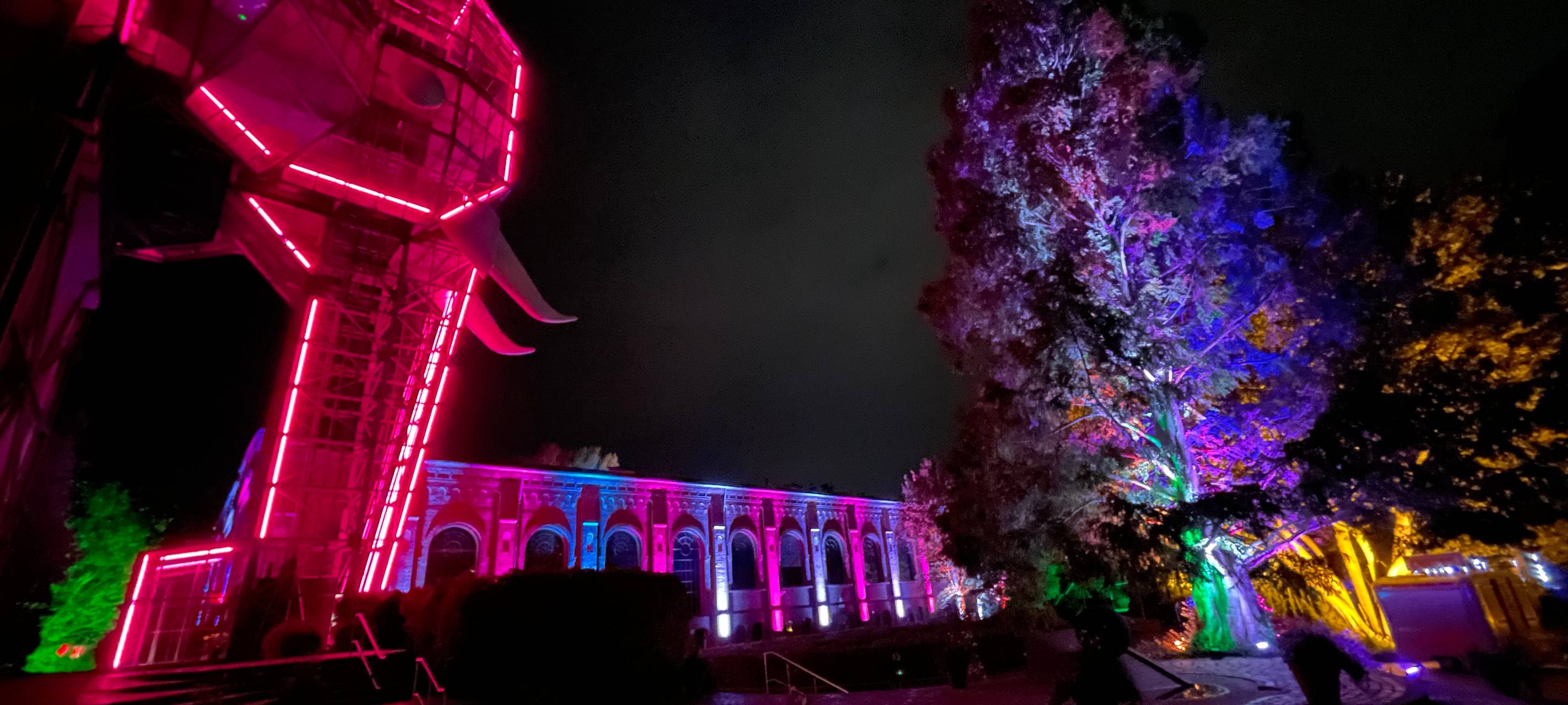 So wird das Herbstleuchten 2023