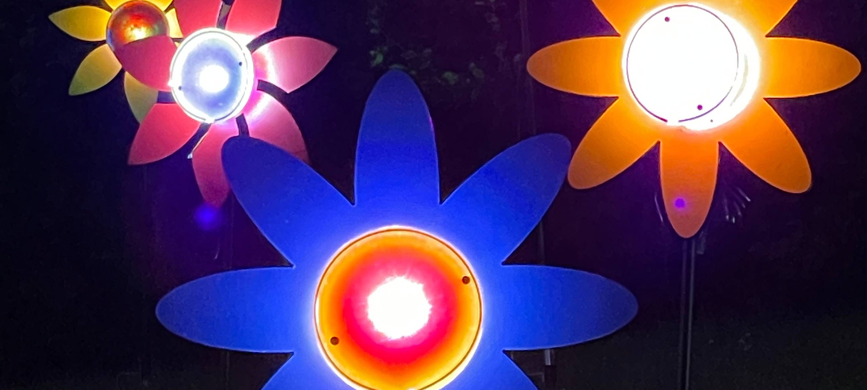 So wird das Herbstleuchten 2023