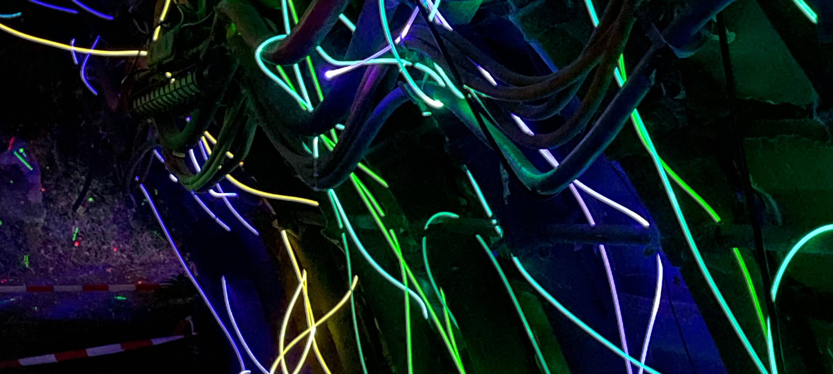 So wird das Herbstleuchten 2023