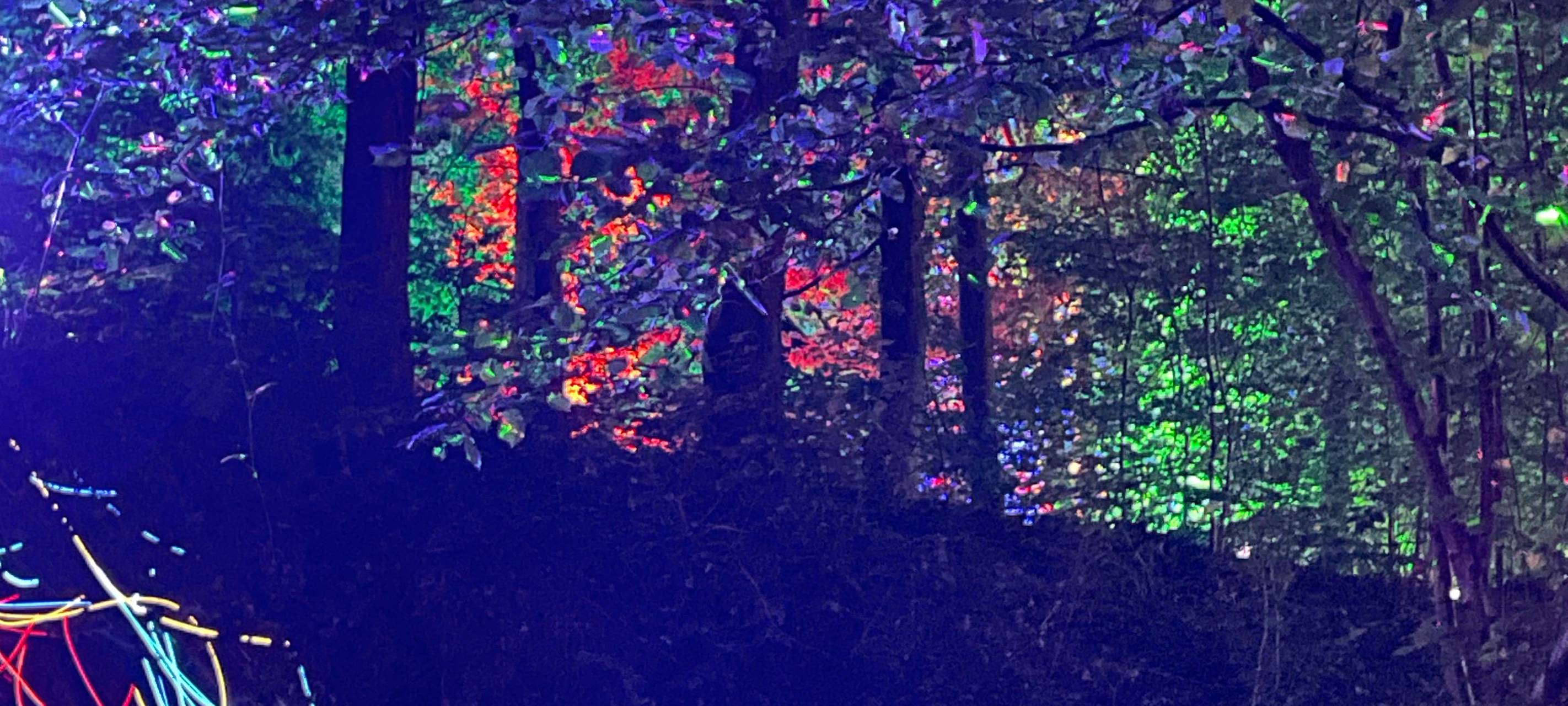 So wird das Herbstleuchten 2023