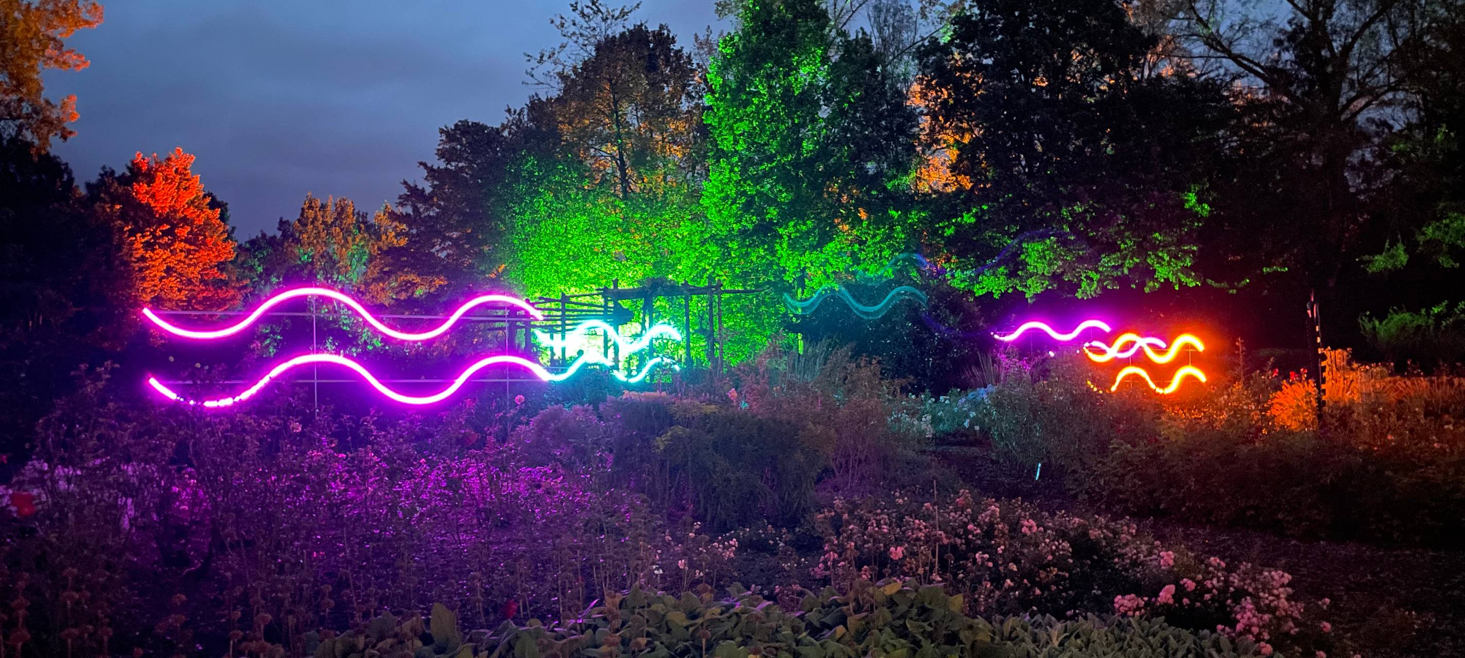 So wird das Herbstleuchten 2023