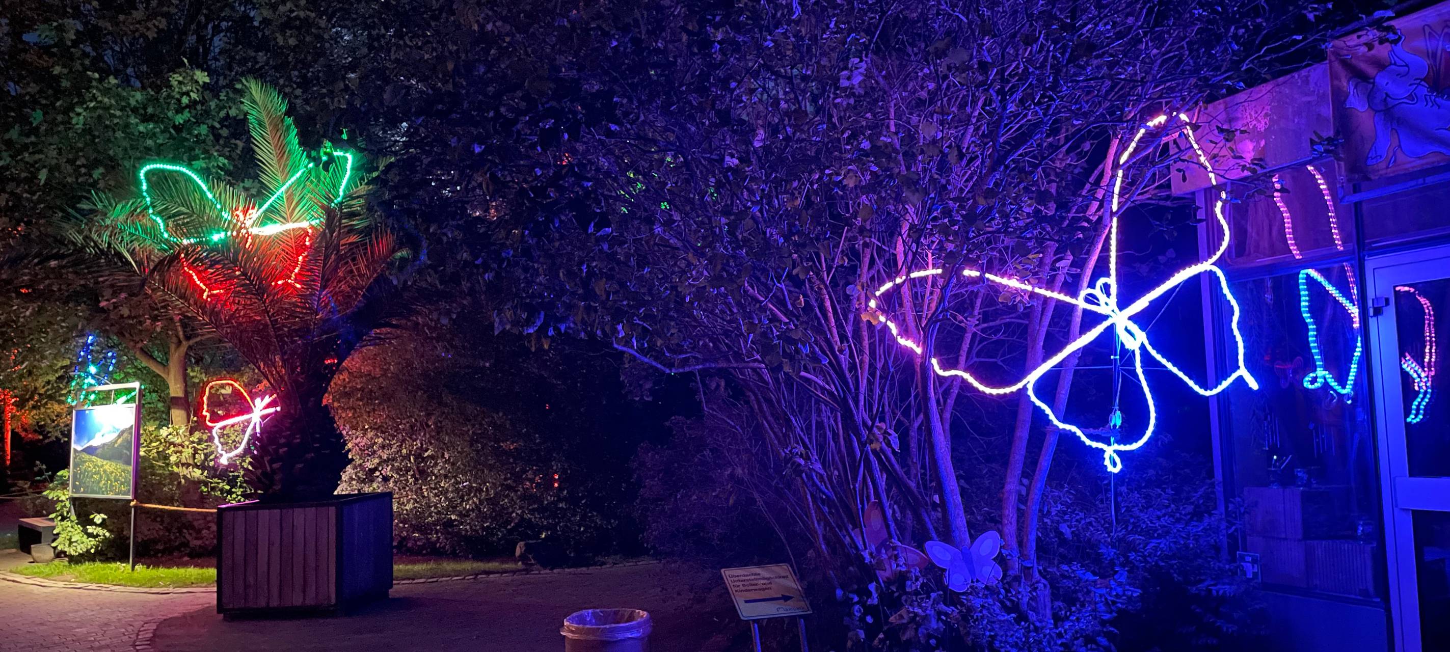 So wird das Herbstleuchten 2023