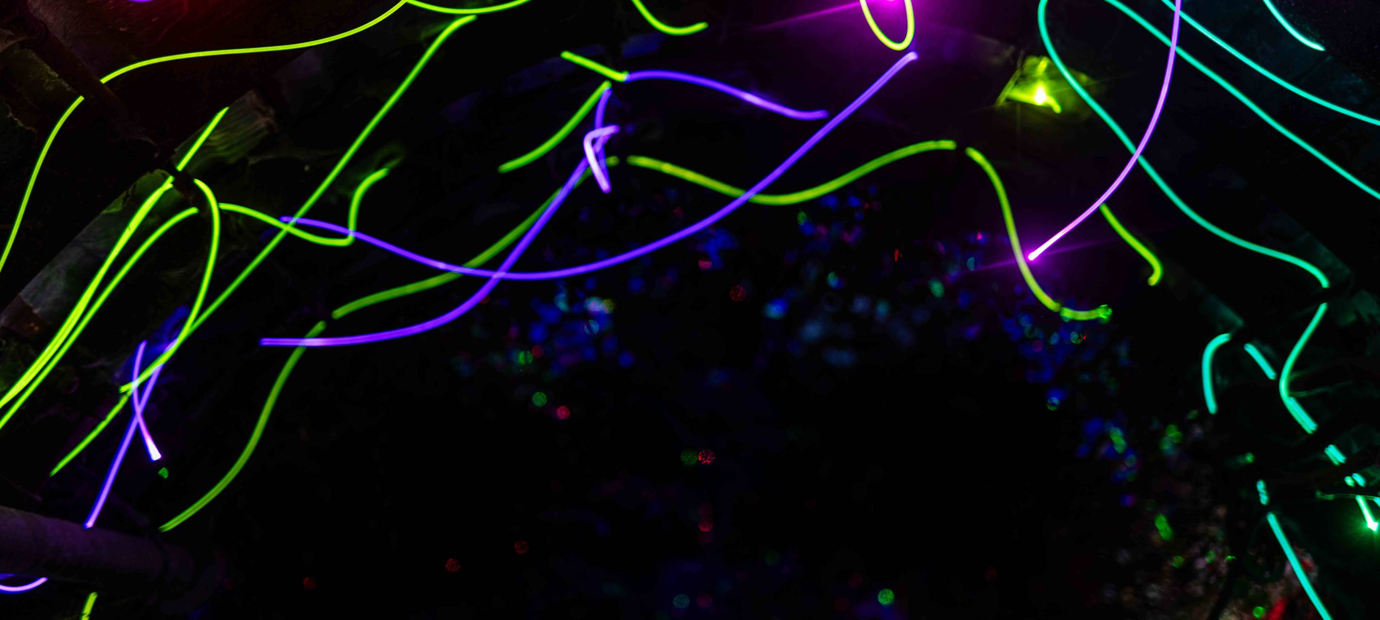 So wird das Herbstleuchten 2023