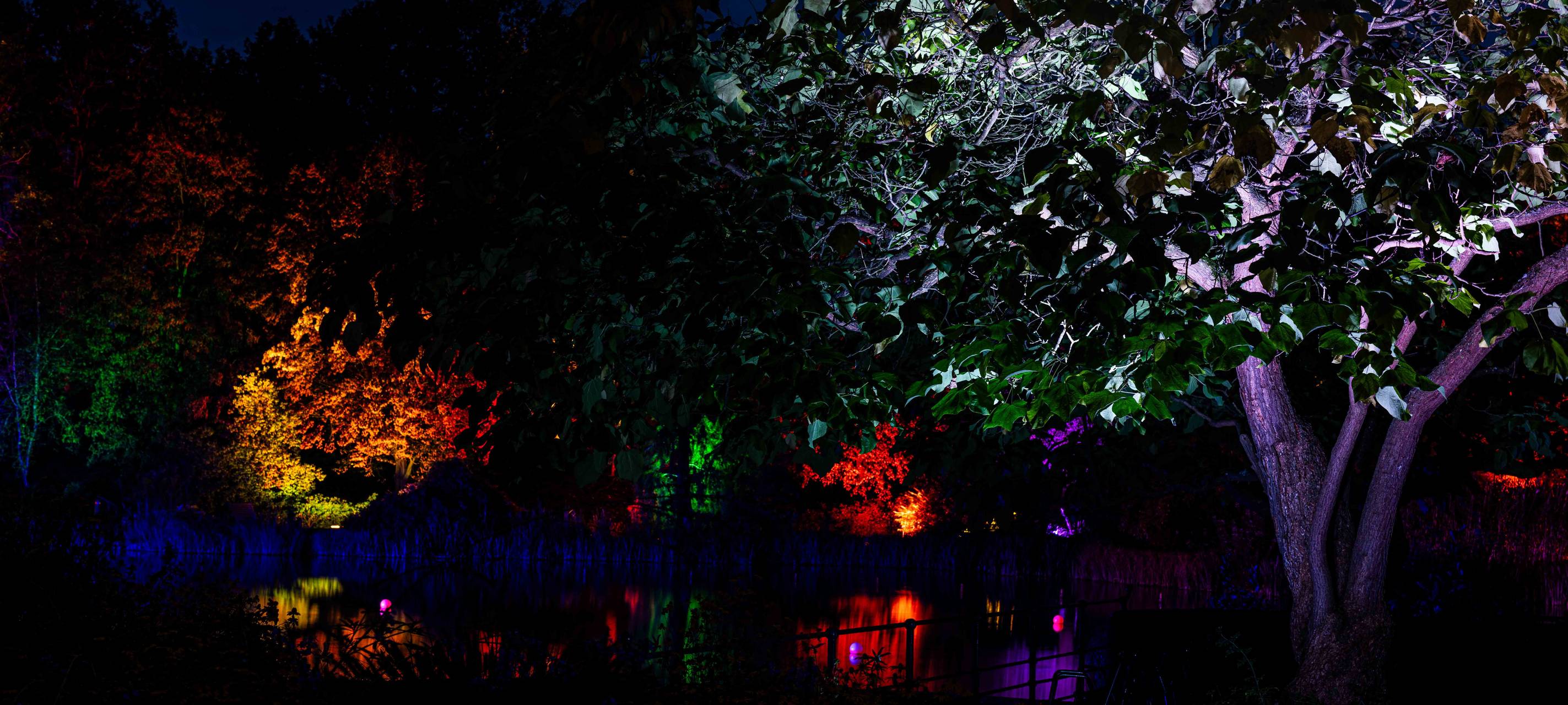 So wird das Herbstleuchten 2023