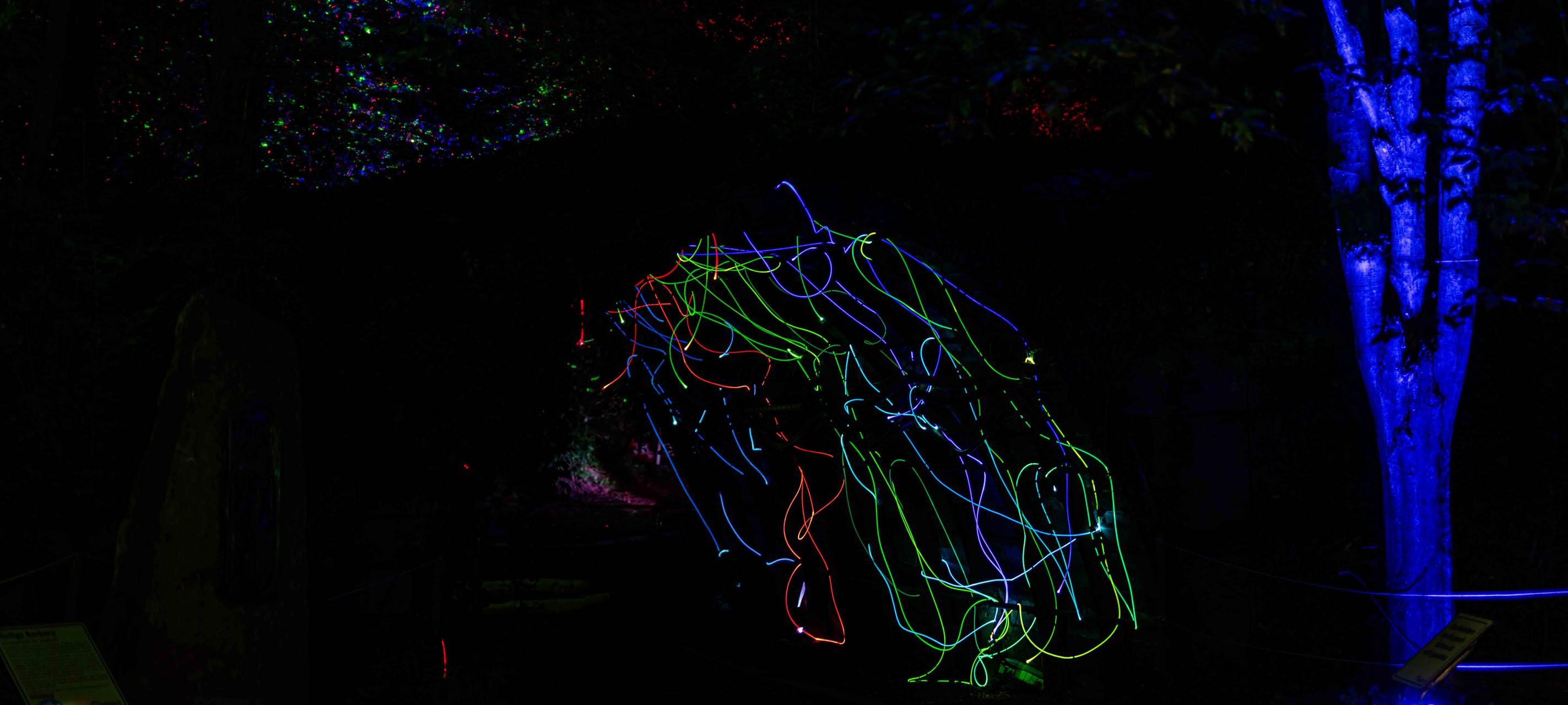 So wird das Herbstleuchten 2023