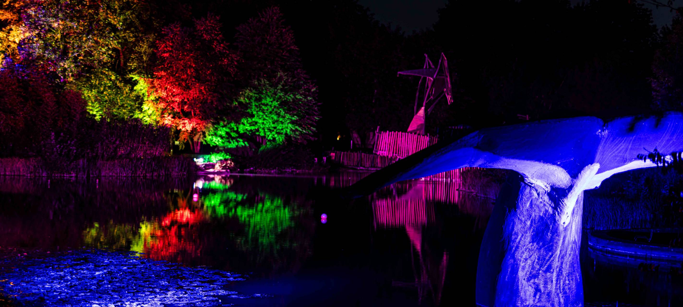 So wird das Herbstleuchten 2023