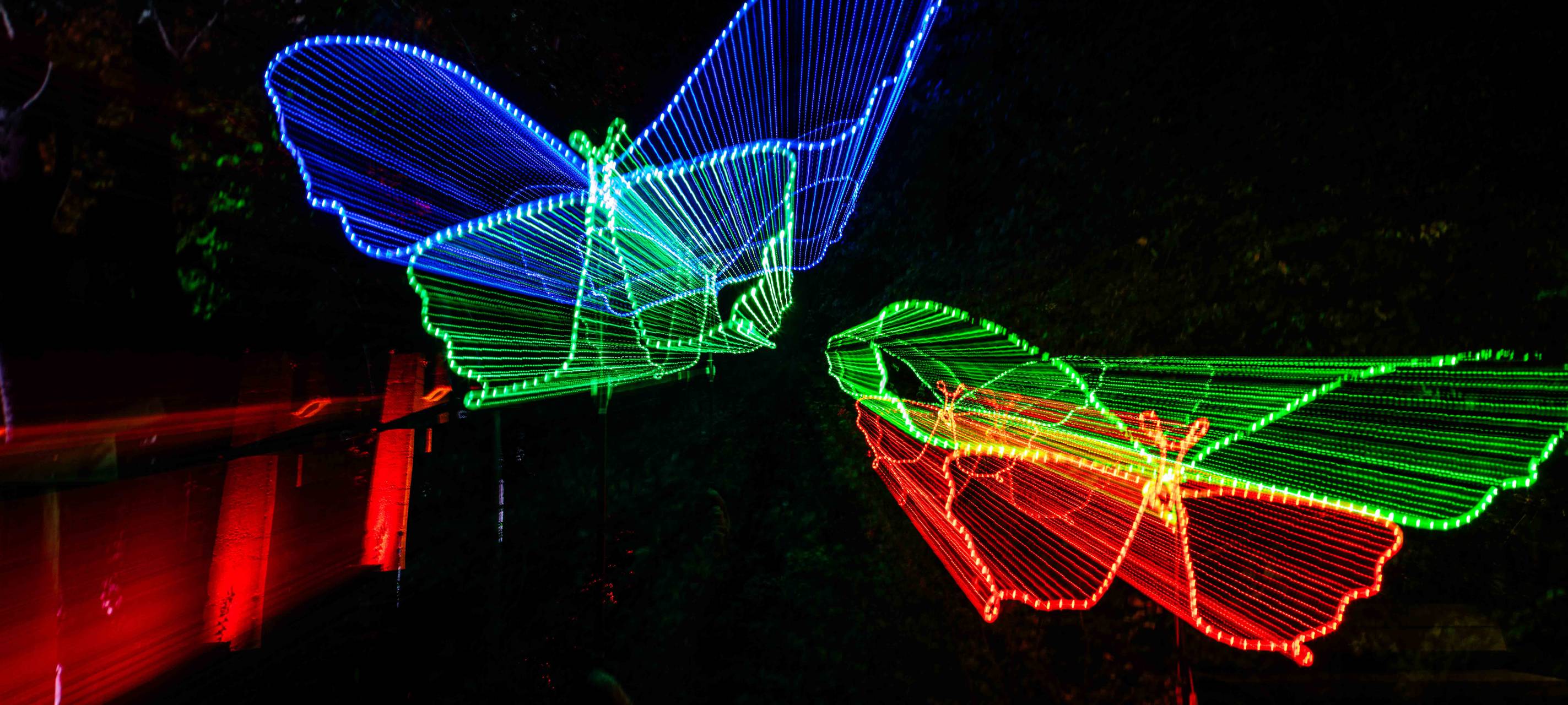 So wird das Herbstleuchten 2023