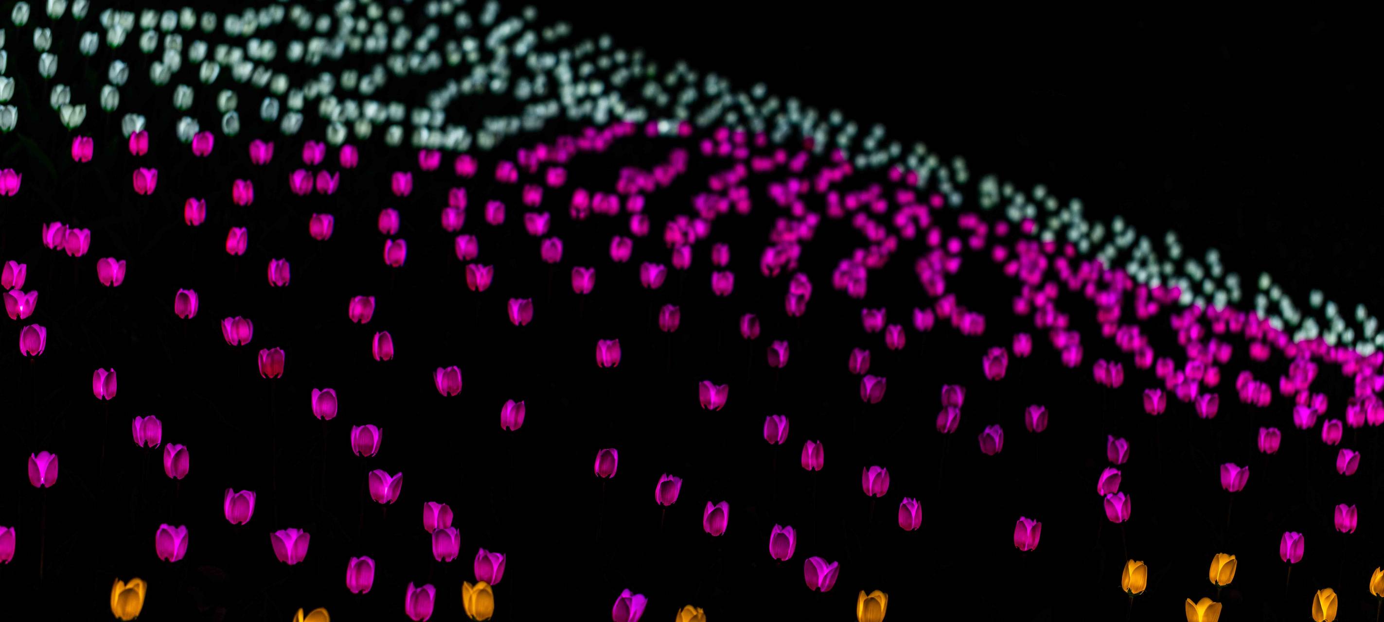 So wird das Herbstleuchten 2023