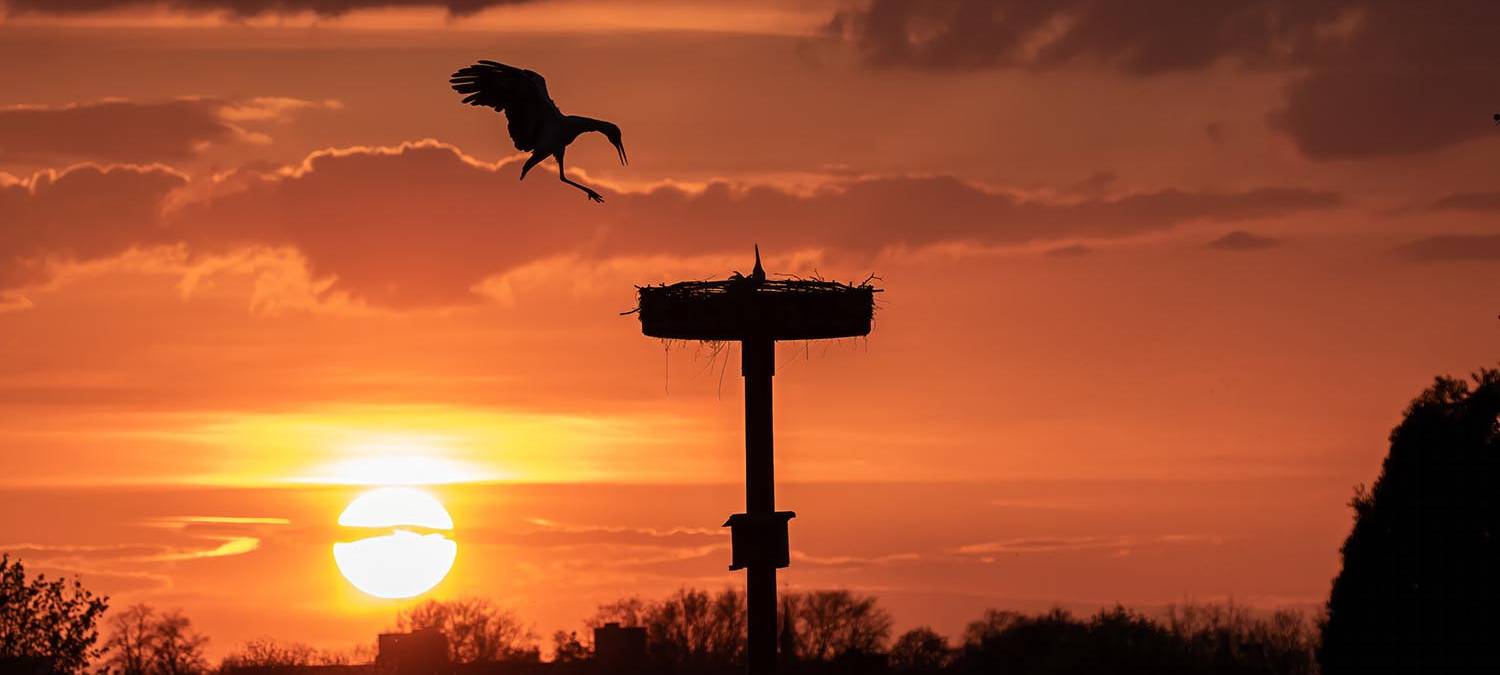 Juni 2024: Hohefeldweg