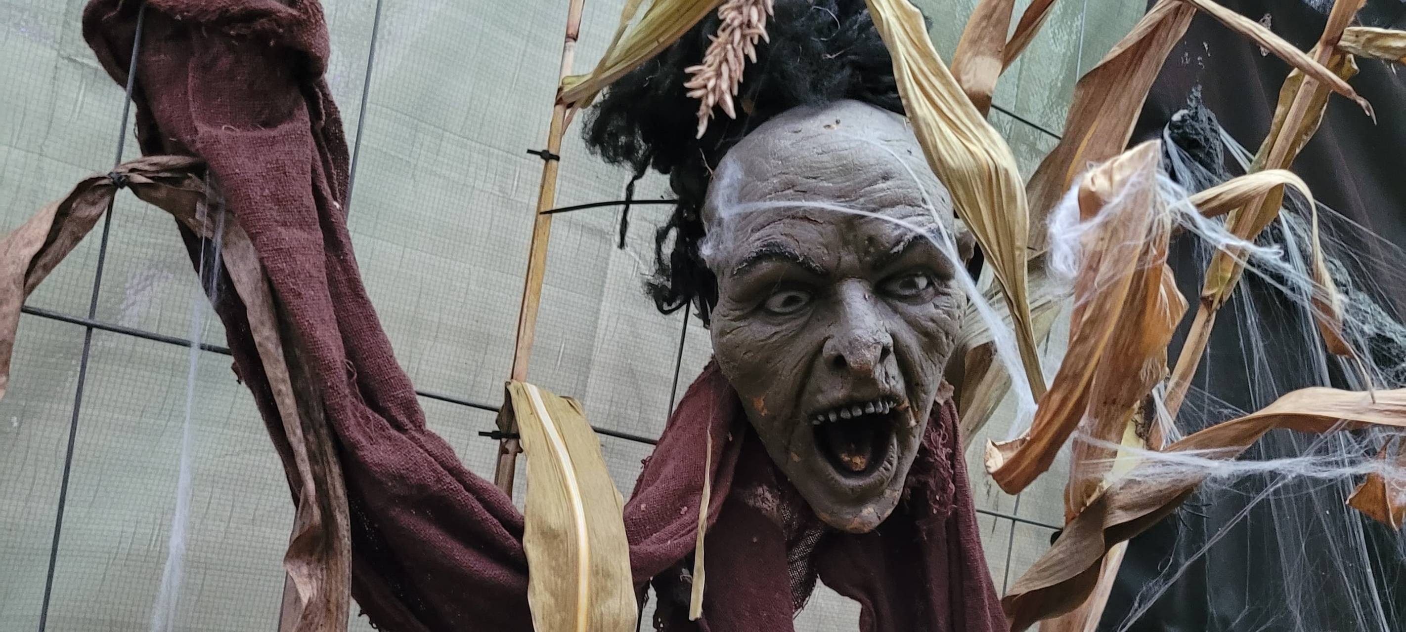 Das Halloween-Haus im Lohauserholz in Hamm lädt zum Gruseln ein