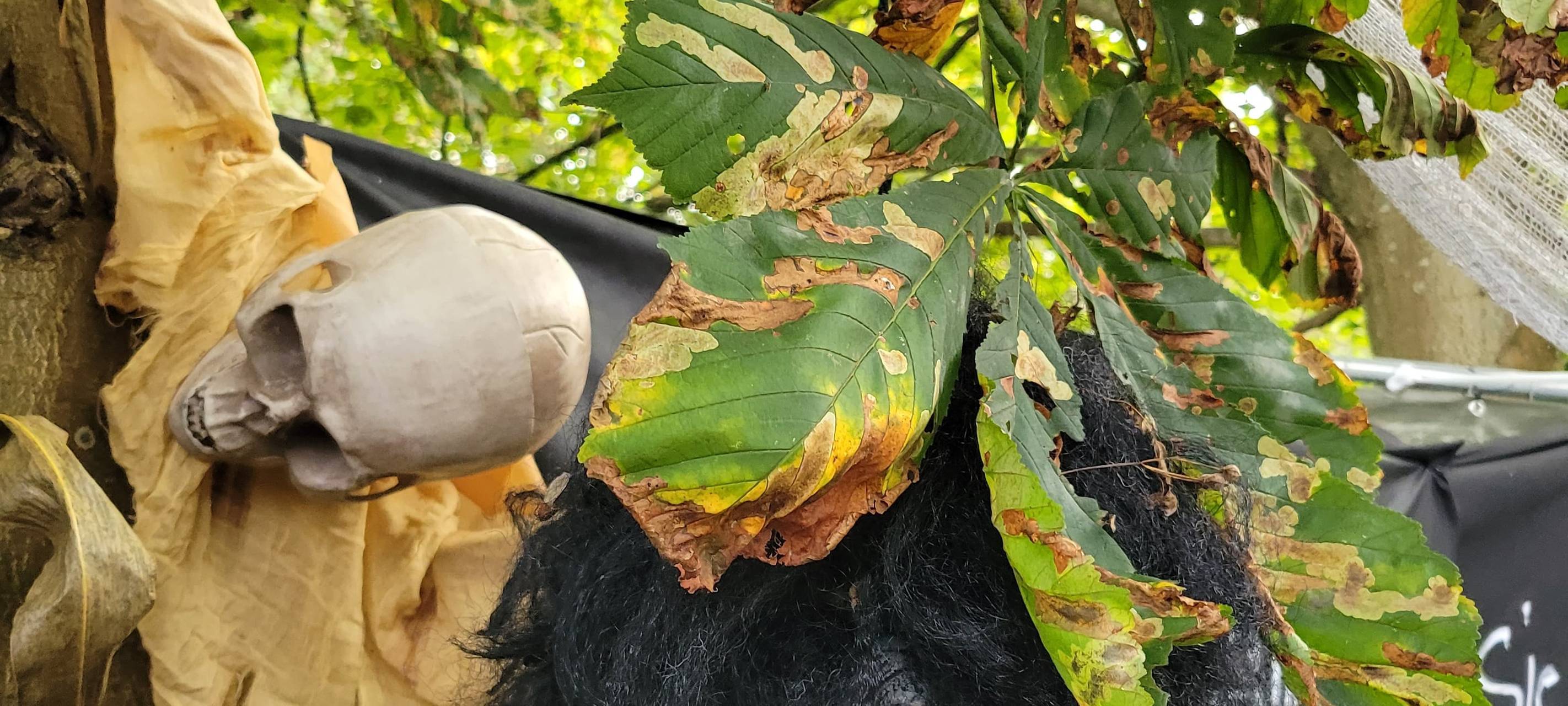 Das Halloween-Haus im Lohauserholz in Hamm lädt zum Gruseln ein