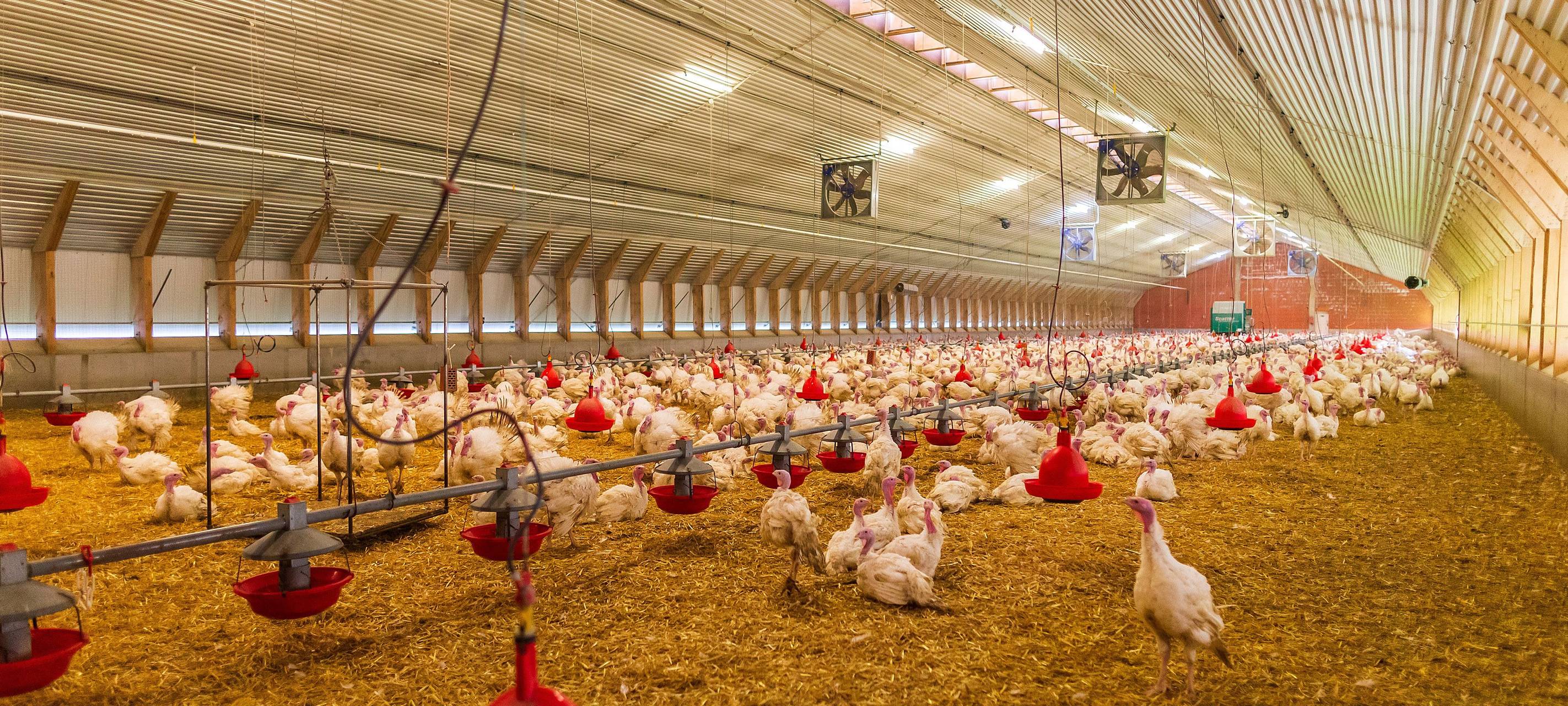 Viel los bei der digitalen Woche