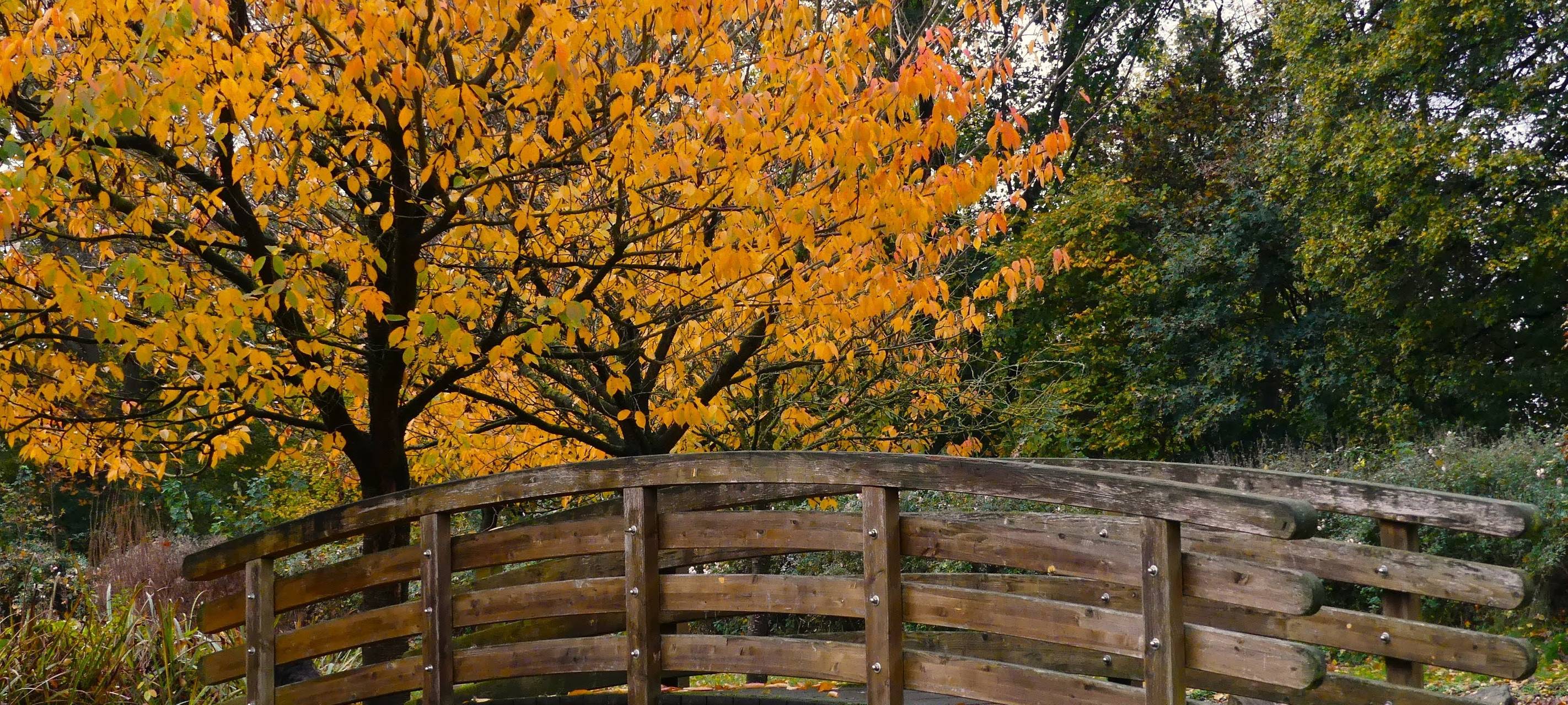 #soschönisthamm im Jahr 2023 - die schönsten Fotos