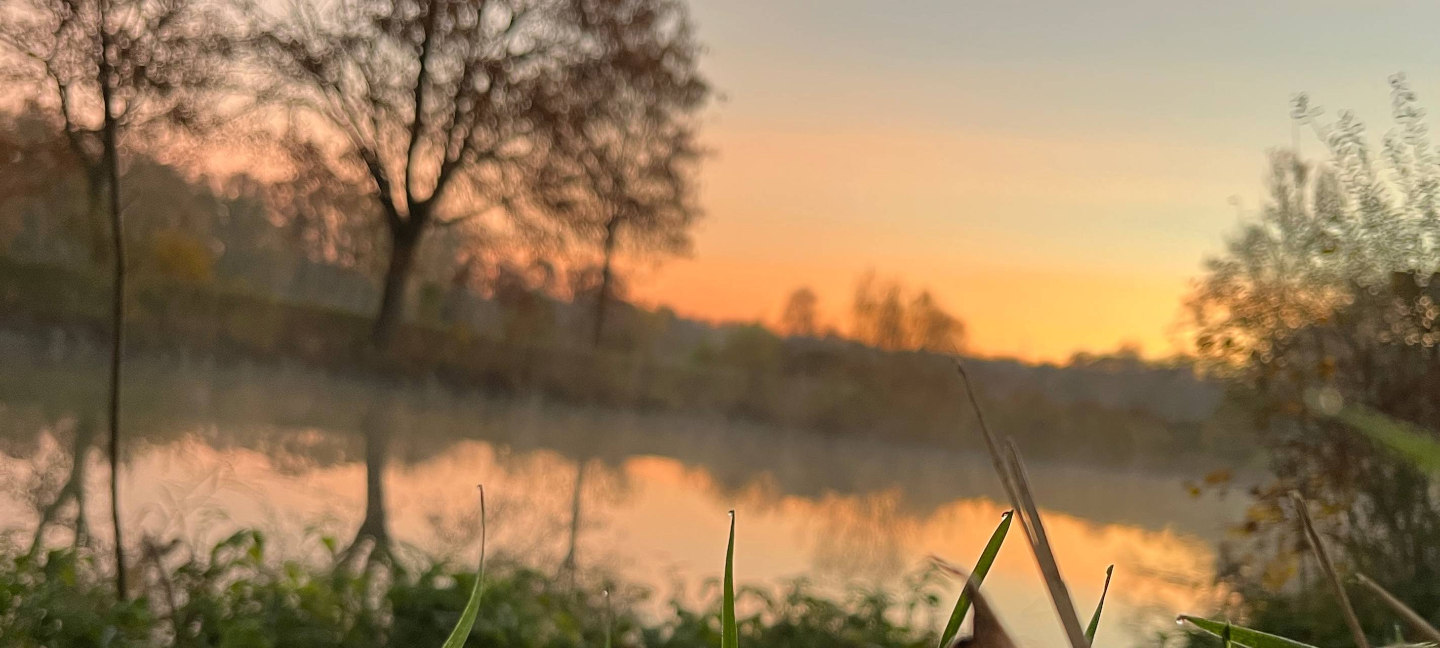 #soschönisthamm im Jahr 2023 - die schönsten Fotos