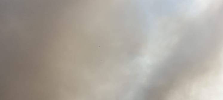 Der Brand einer WDI Halle