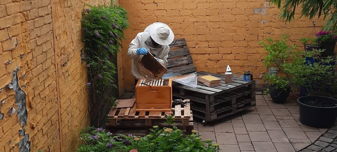 Imker Luca Usai bei seinen Bienen