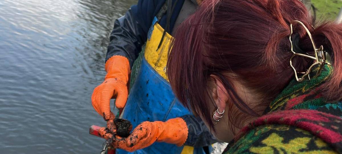 Muschel-Evakuierung im Kurpark Hamm