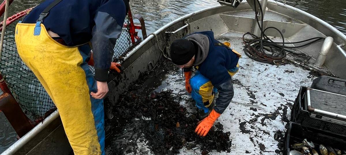 Muschel-Evakuierung im Kurpark Hamm