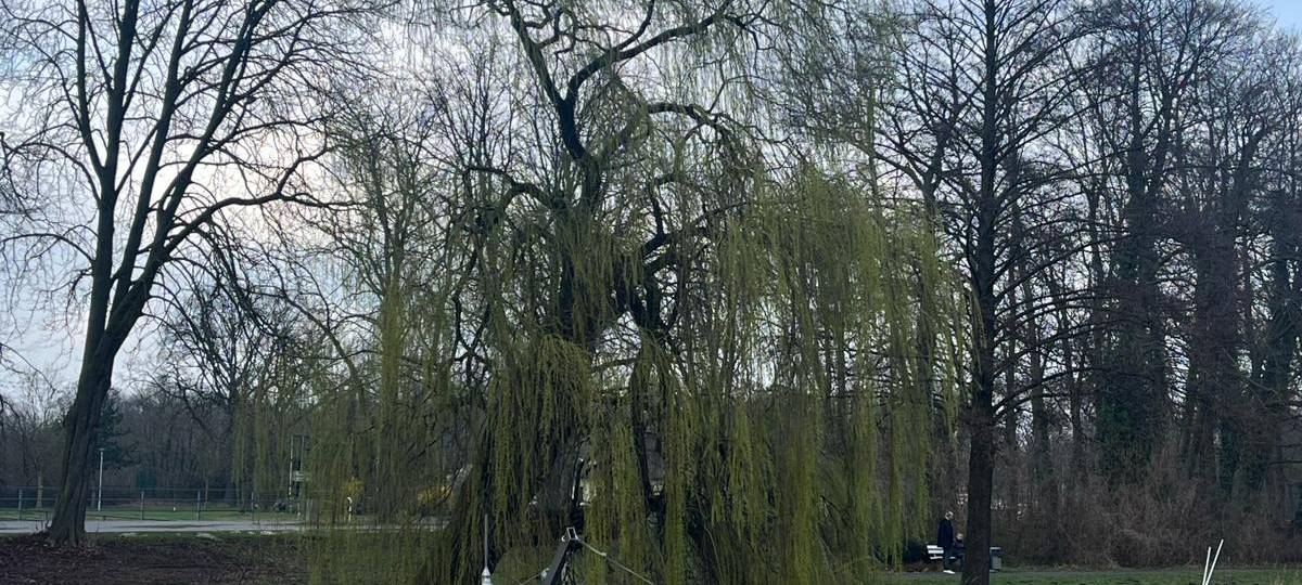Muschel-Evakuierung im Kurpark Hamm