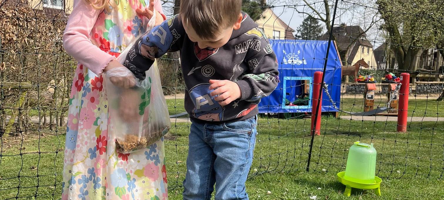 Hühner zu Besuch in Kita Immanuel in Hamm