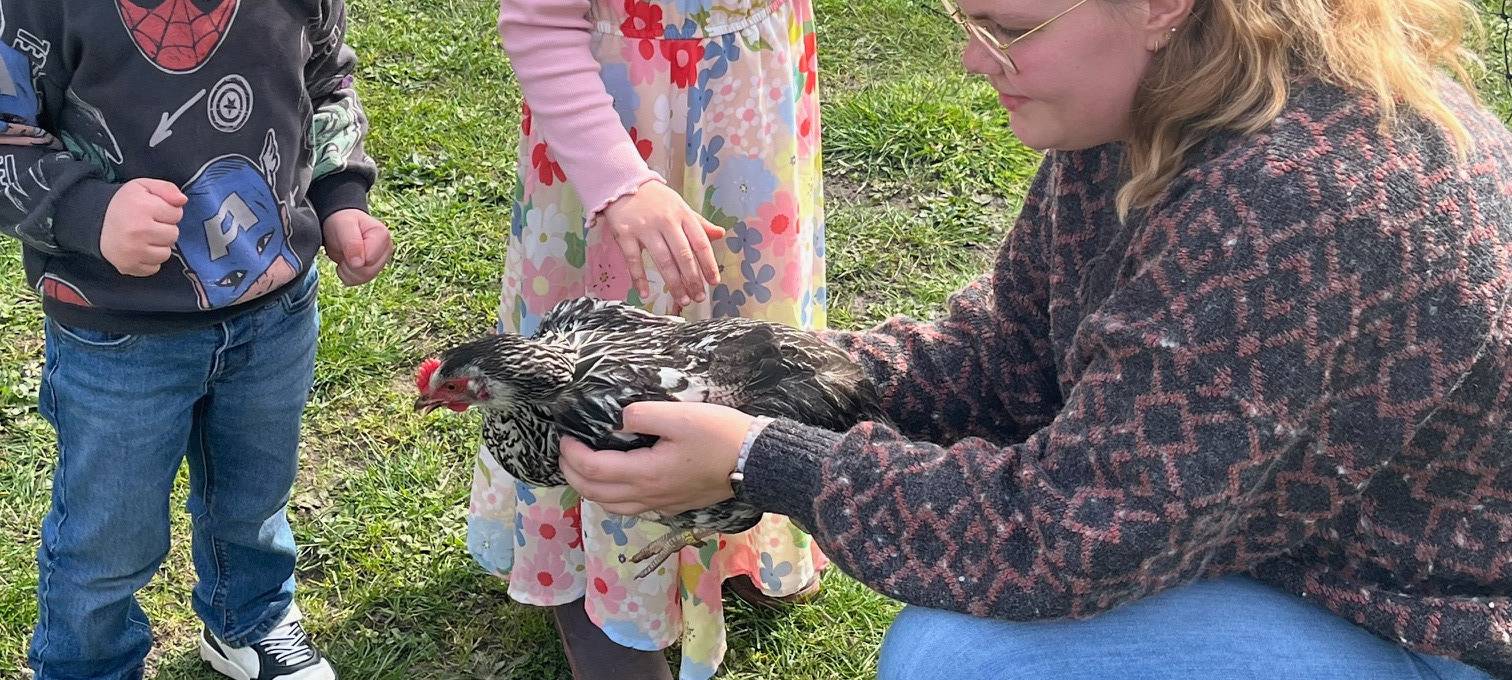Die Kinder dürfen die Hühner auch streicheln.