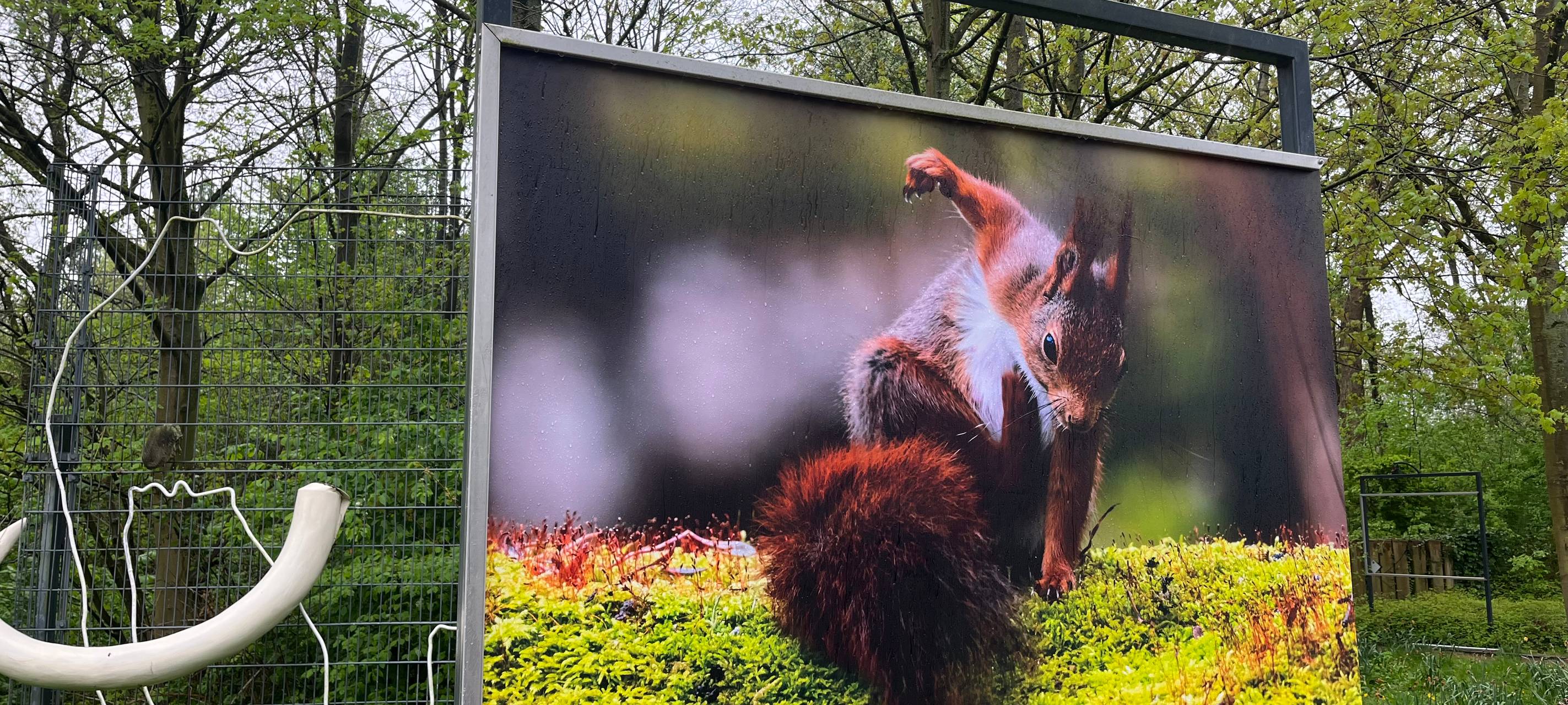 Lustige Tierbilder Maxipark Hamm