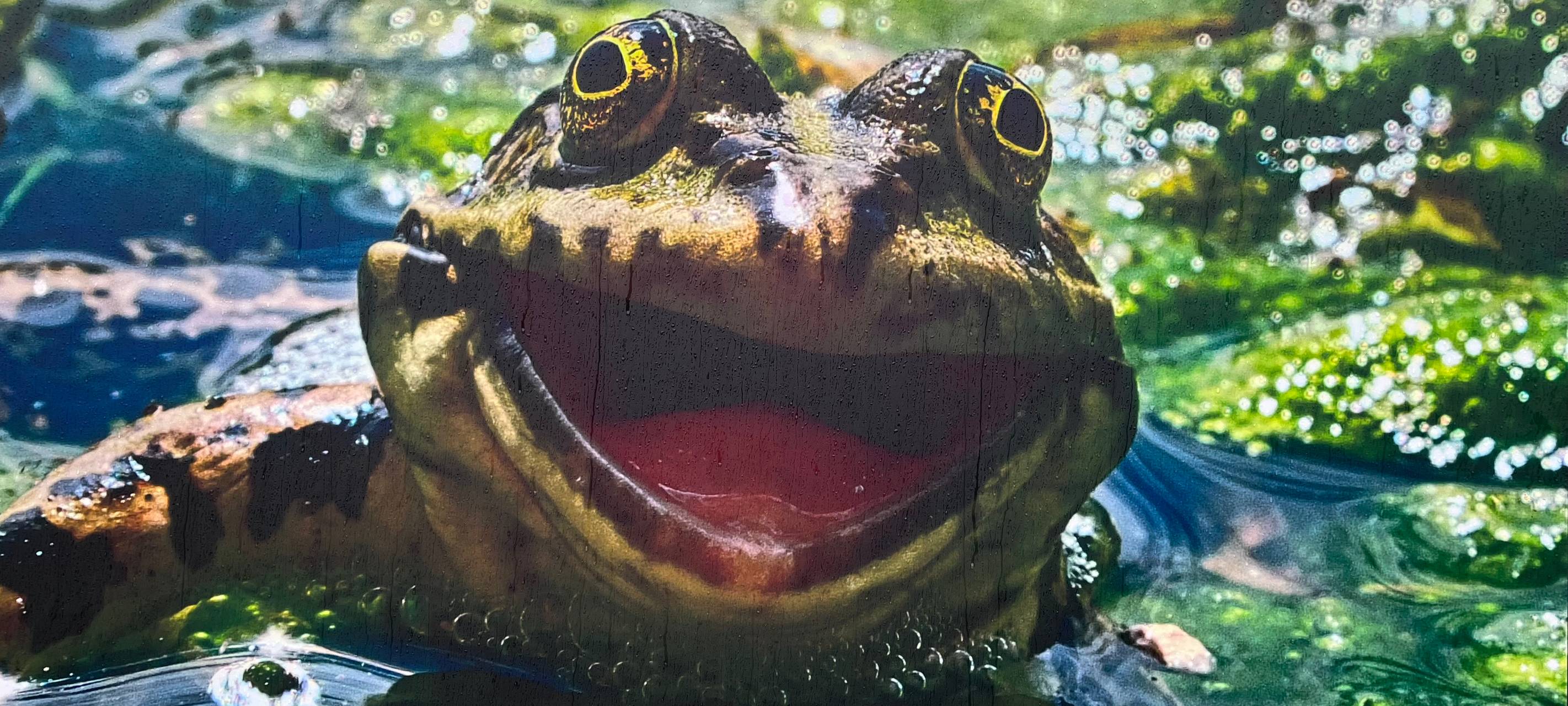 Maxipark Hamm zeigt lustige Tierfotos in neuer Ausstellung