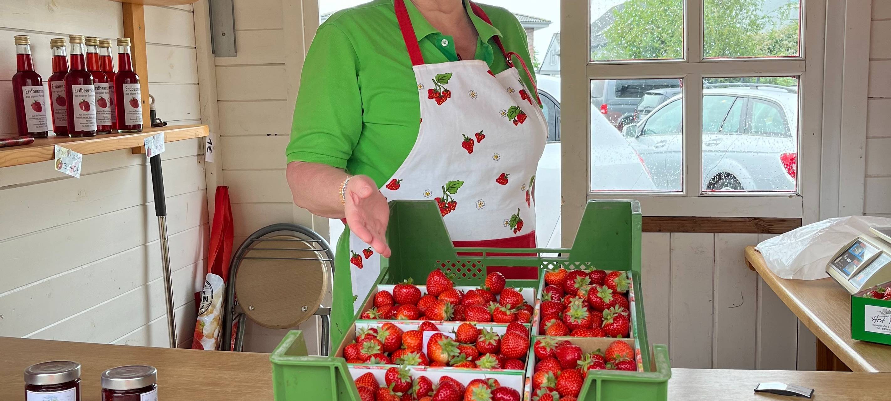 So werden Erdbeeren in Hamm geerntet