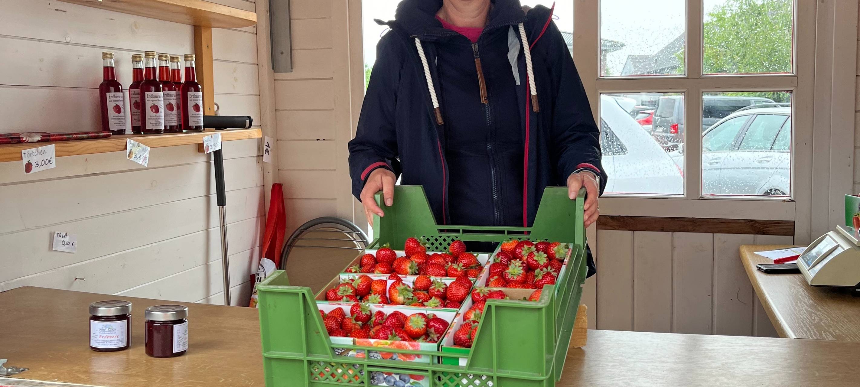 So werden Erdbeeren in Hamm geerntet
