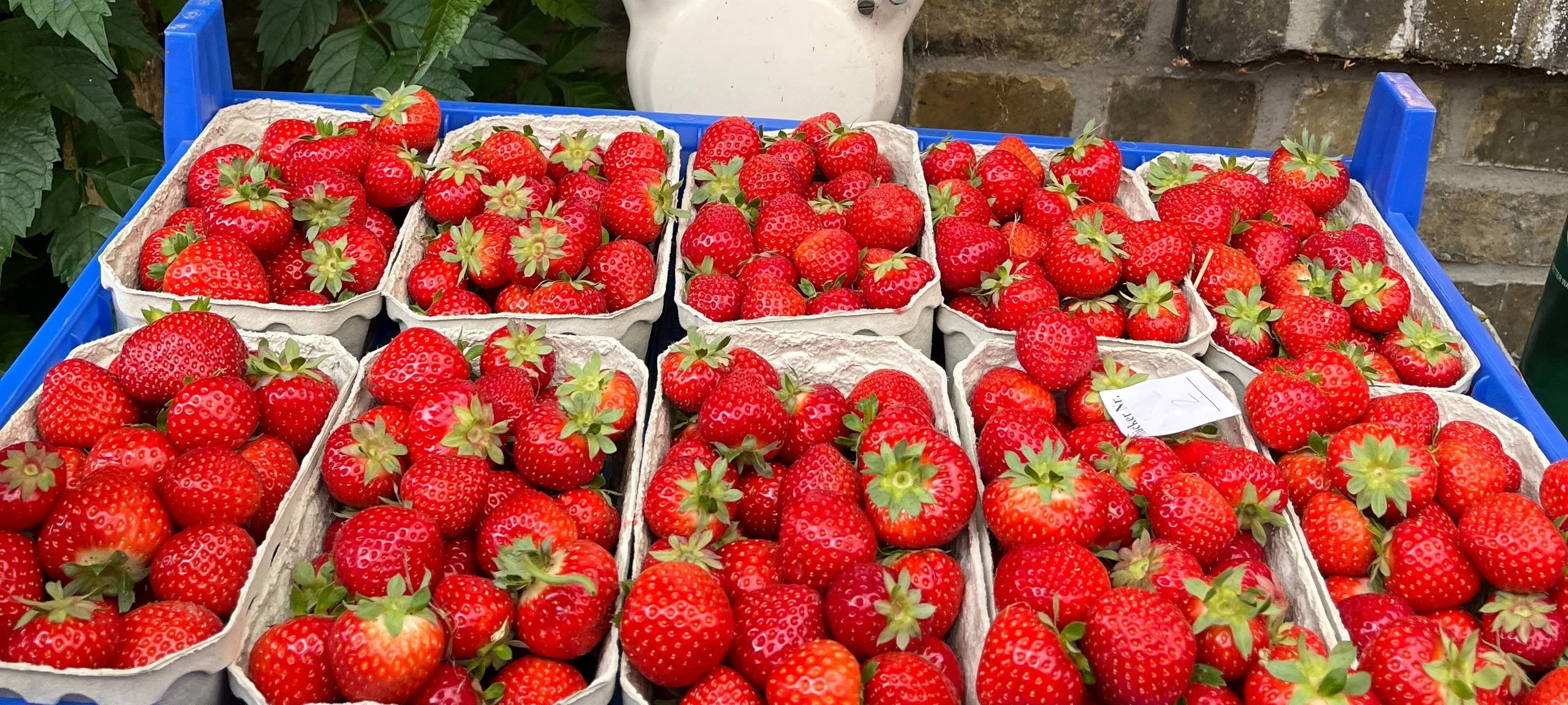 Erdbeerschalen auf einer Wage.