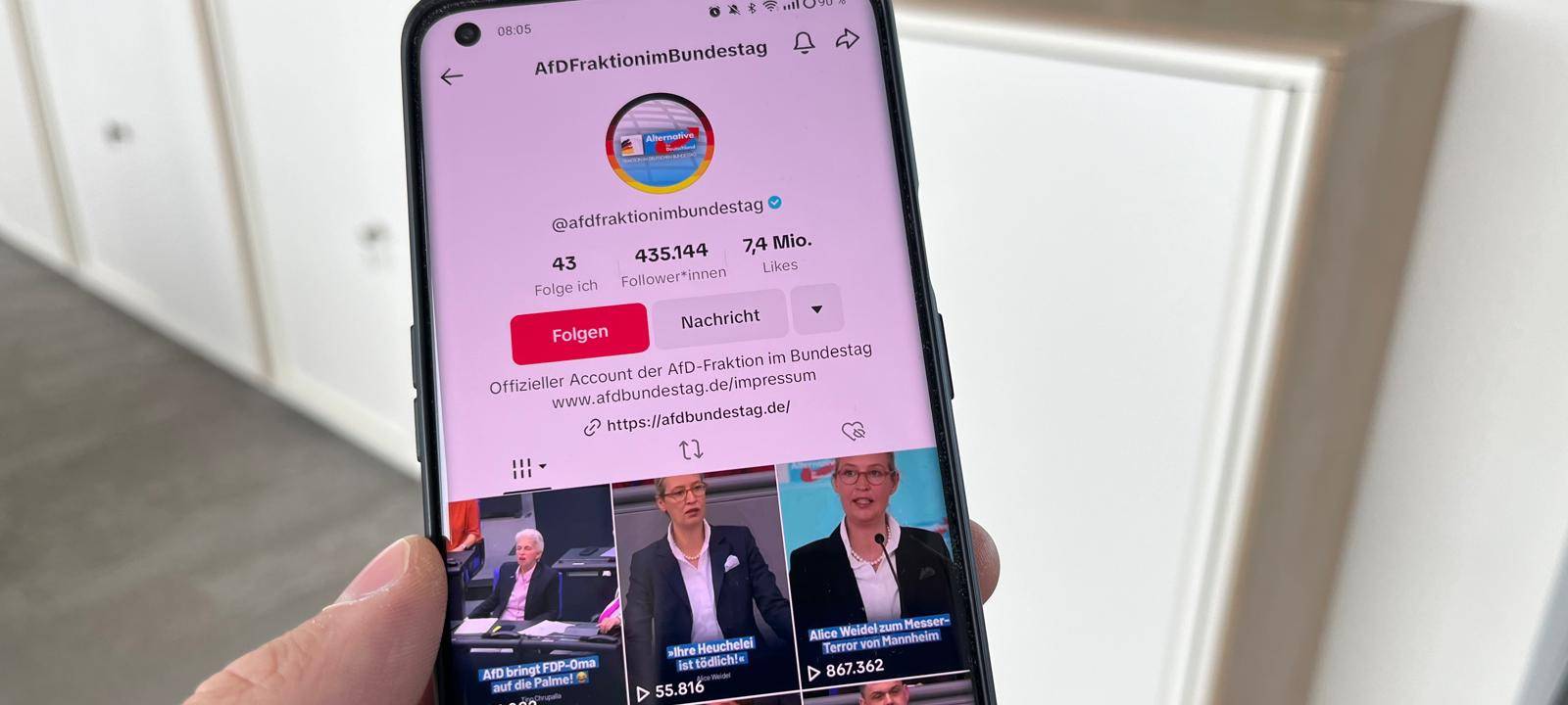 AfD: Grüne und SPD in Hamm wollen Verbot