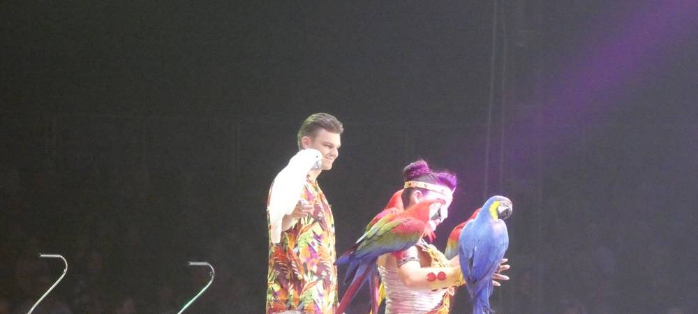 "Grandioser Erfolg" für Zirkus Charles Knie in Hamm