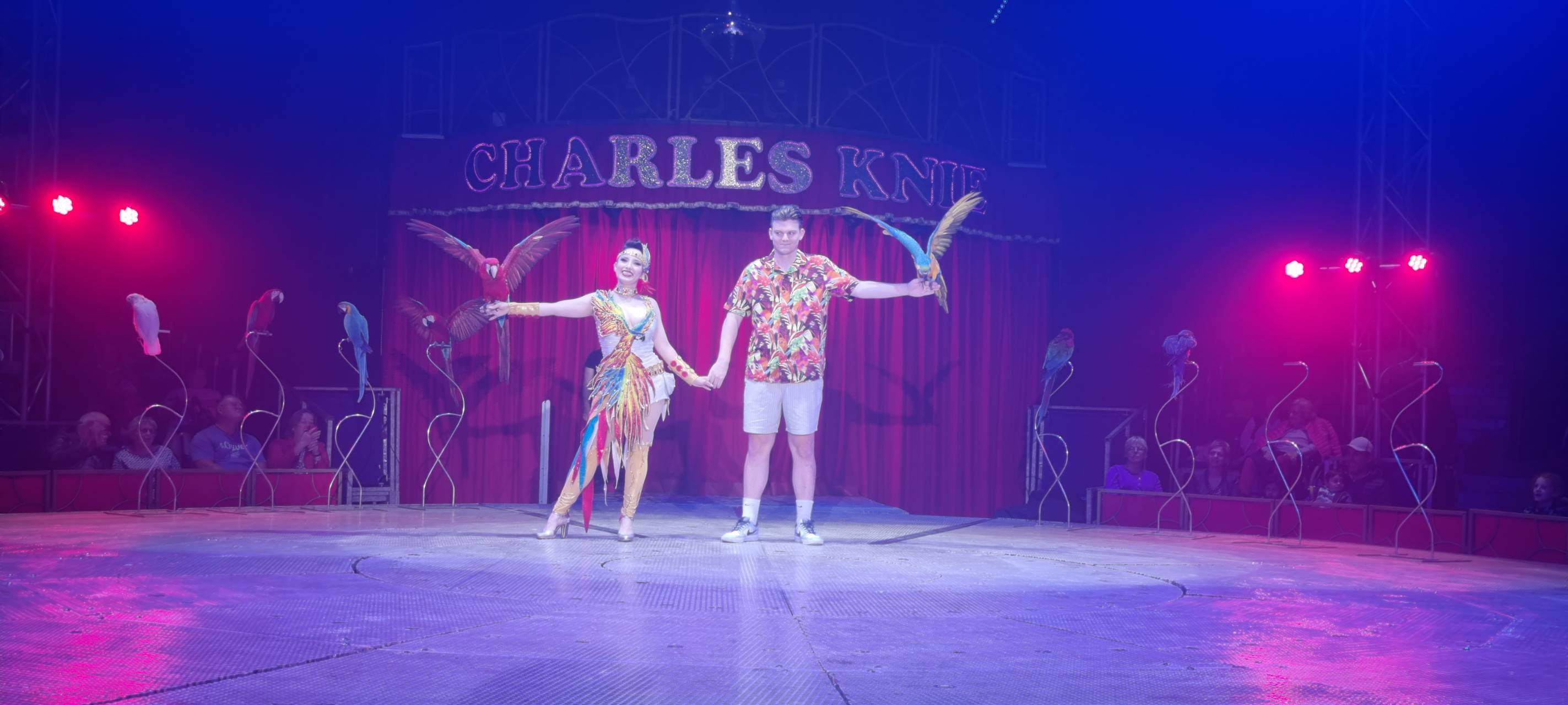 "Grandioser Erfolg" für Zirkus Charles Knie in Hamm