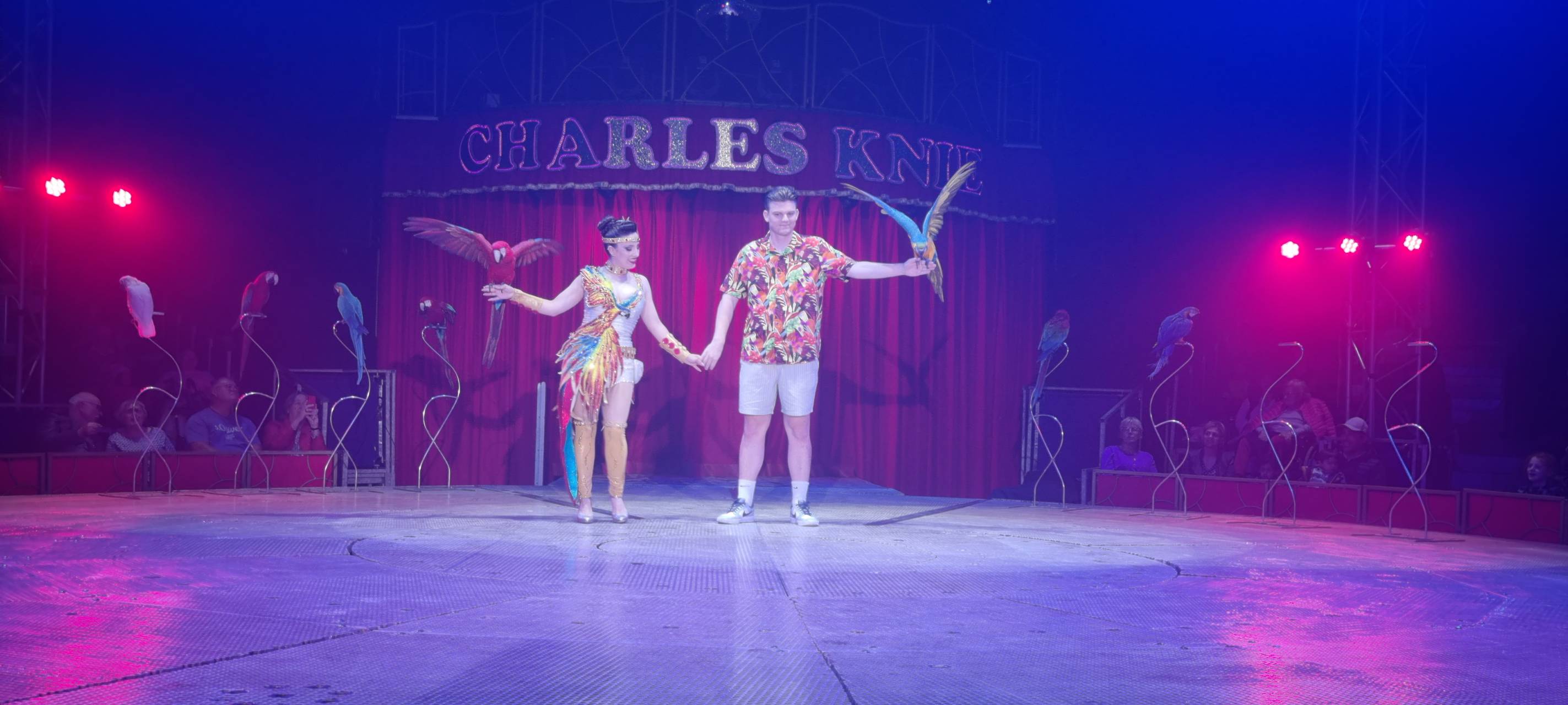 "Grandioser Erfolg" für Zirkus Charles Knie in Hamm