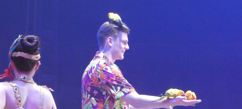 "Grandioser Erfolg" für Zirkus Charles Knie in Hamm