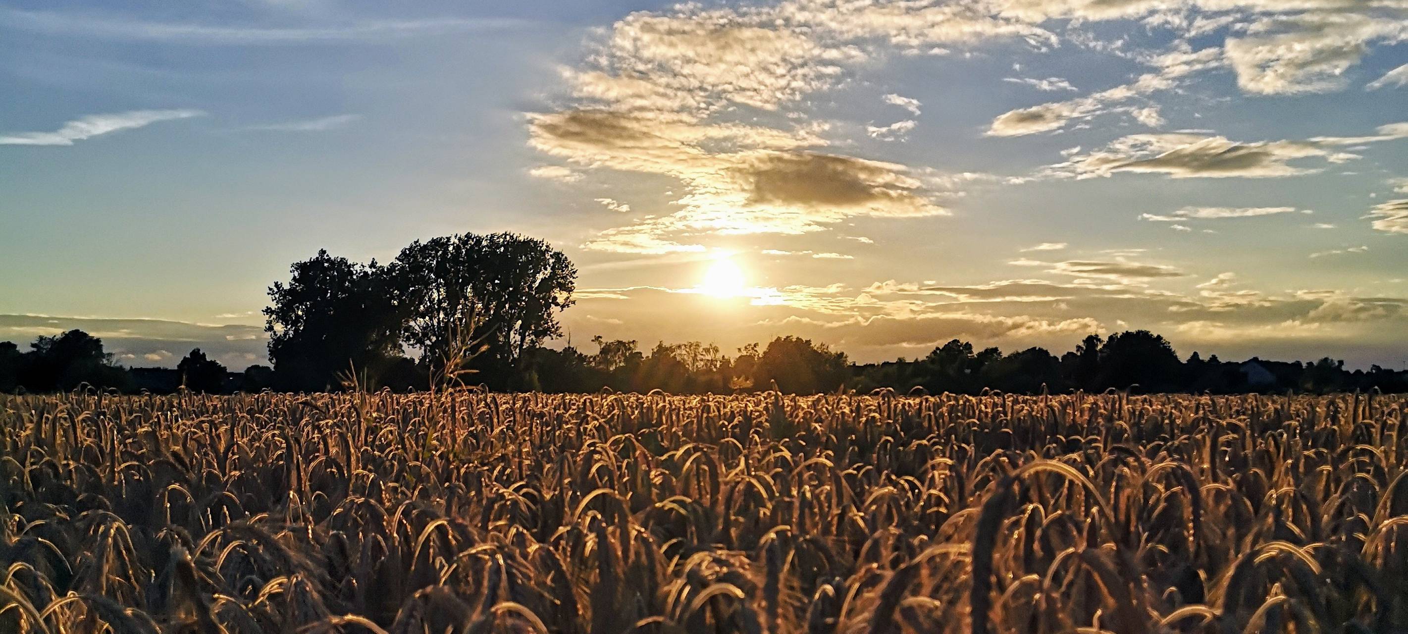 #soschönisthamm: Die Gewinner aus Hamm im Juli