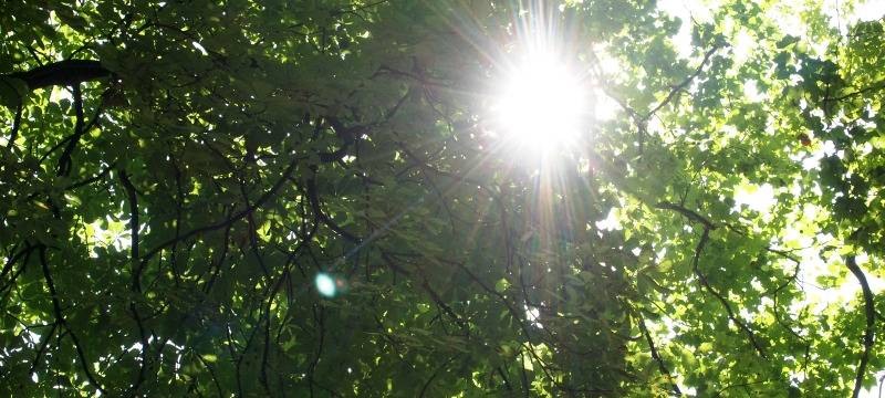 Unterschiedliche Nutzung von Sonnencreme in Hamm