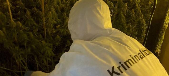 Cannabisplantage auf Dachboden in Hamm