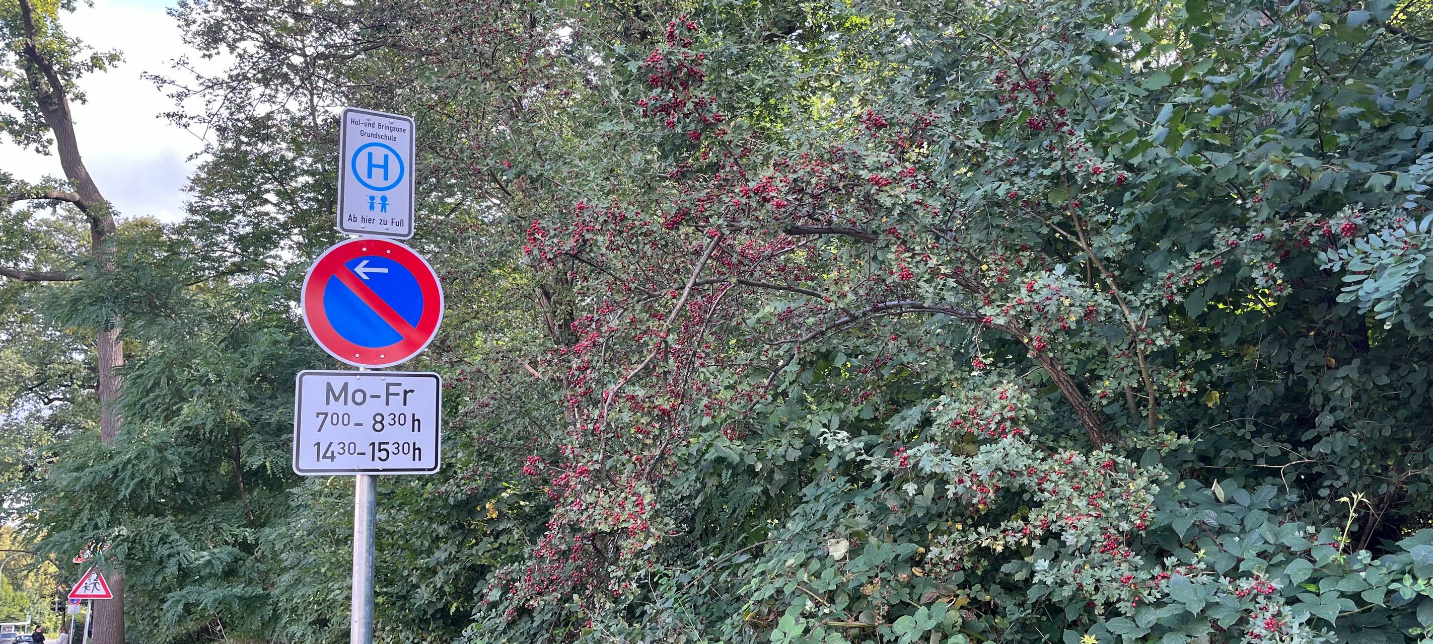 Neue Elterntaxi-Haltestellen Josefschule Hamm