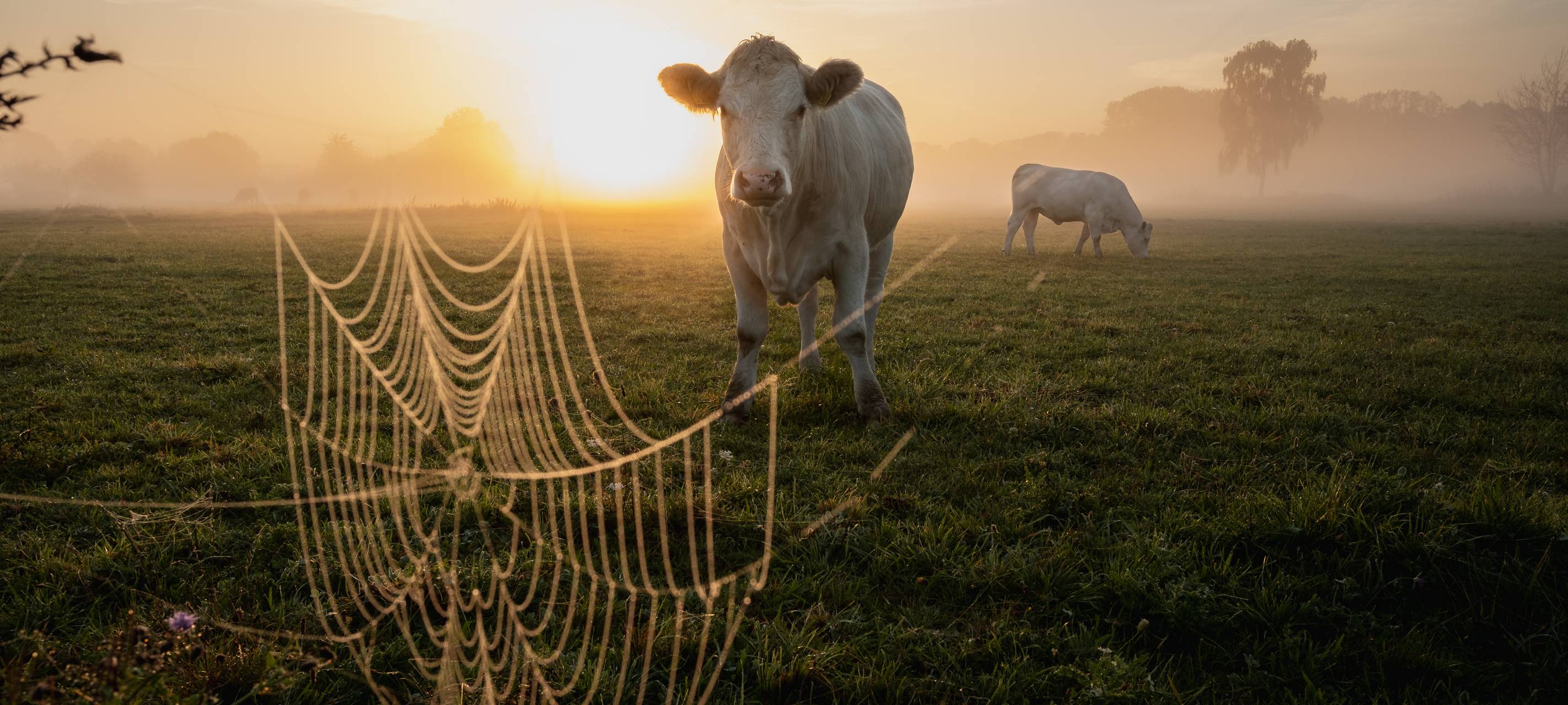 #soschönisthamm: Die Gewinner aus Hamm im September
